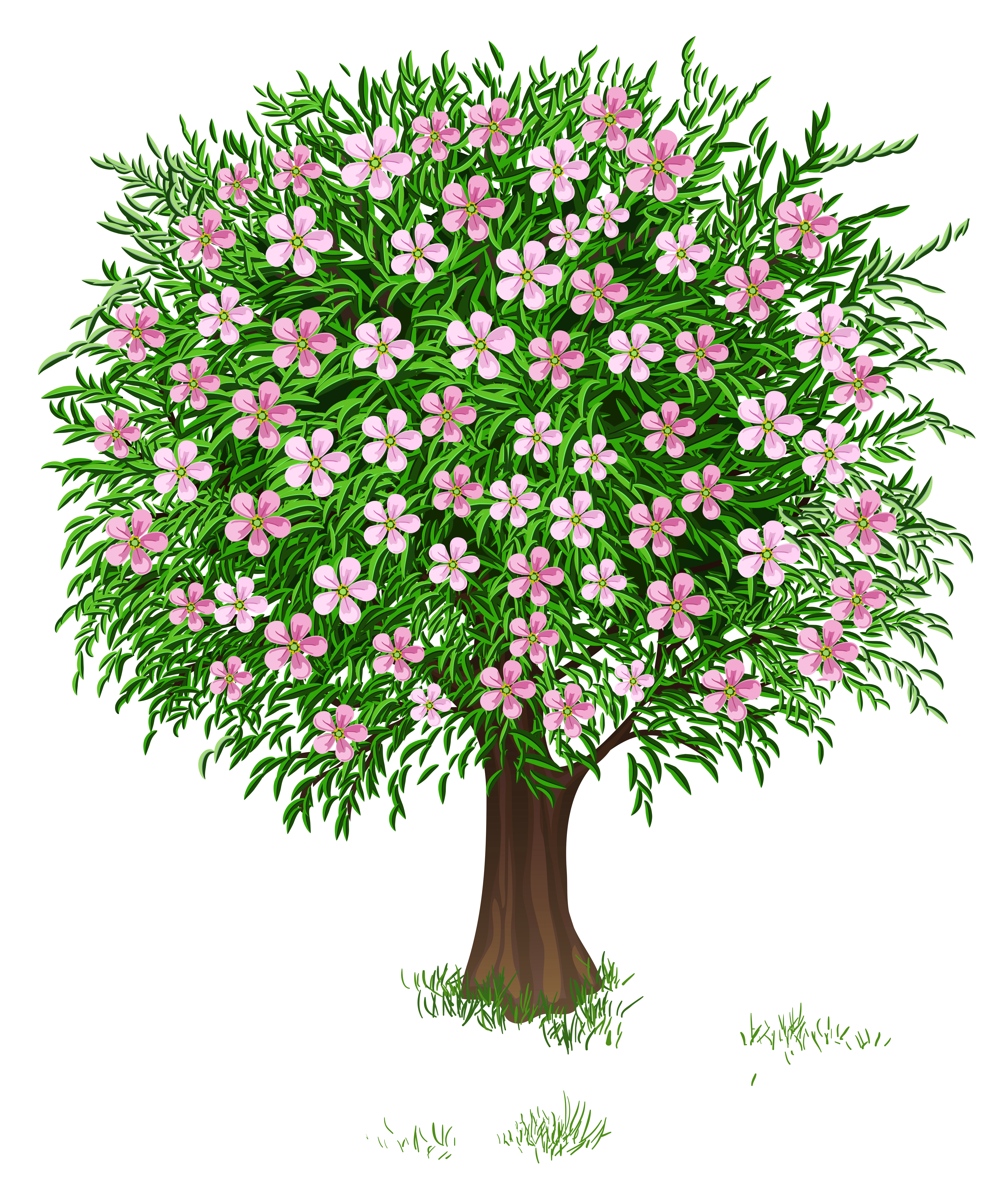 Spring Tree Transparent PNG Clipart Picture | Gallery Yopriceville ...