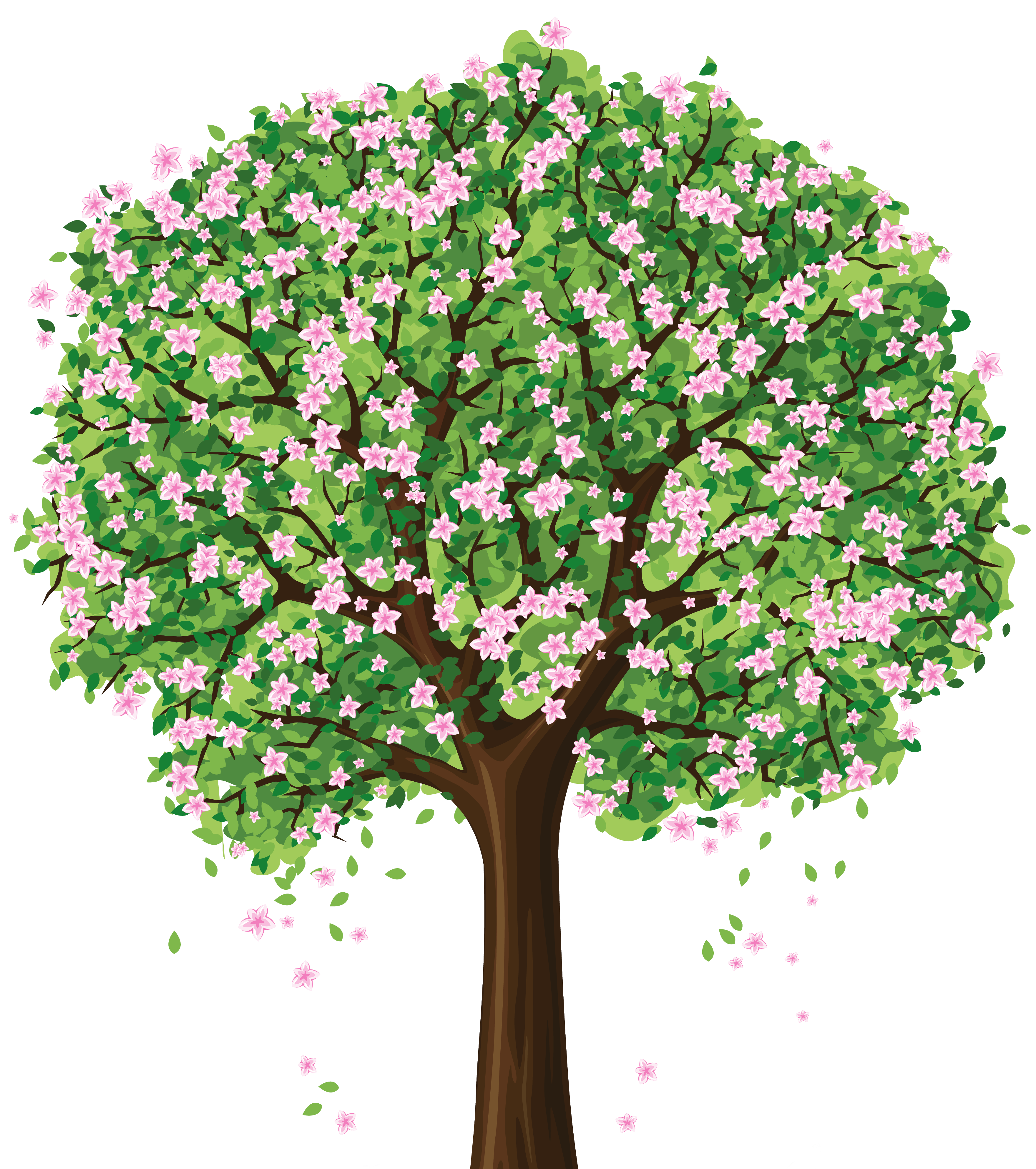 Spring Tree PNG Clipart | Gallery Yopriceville - High-Quality ...