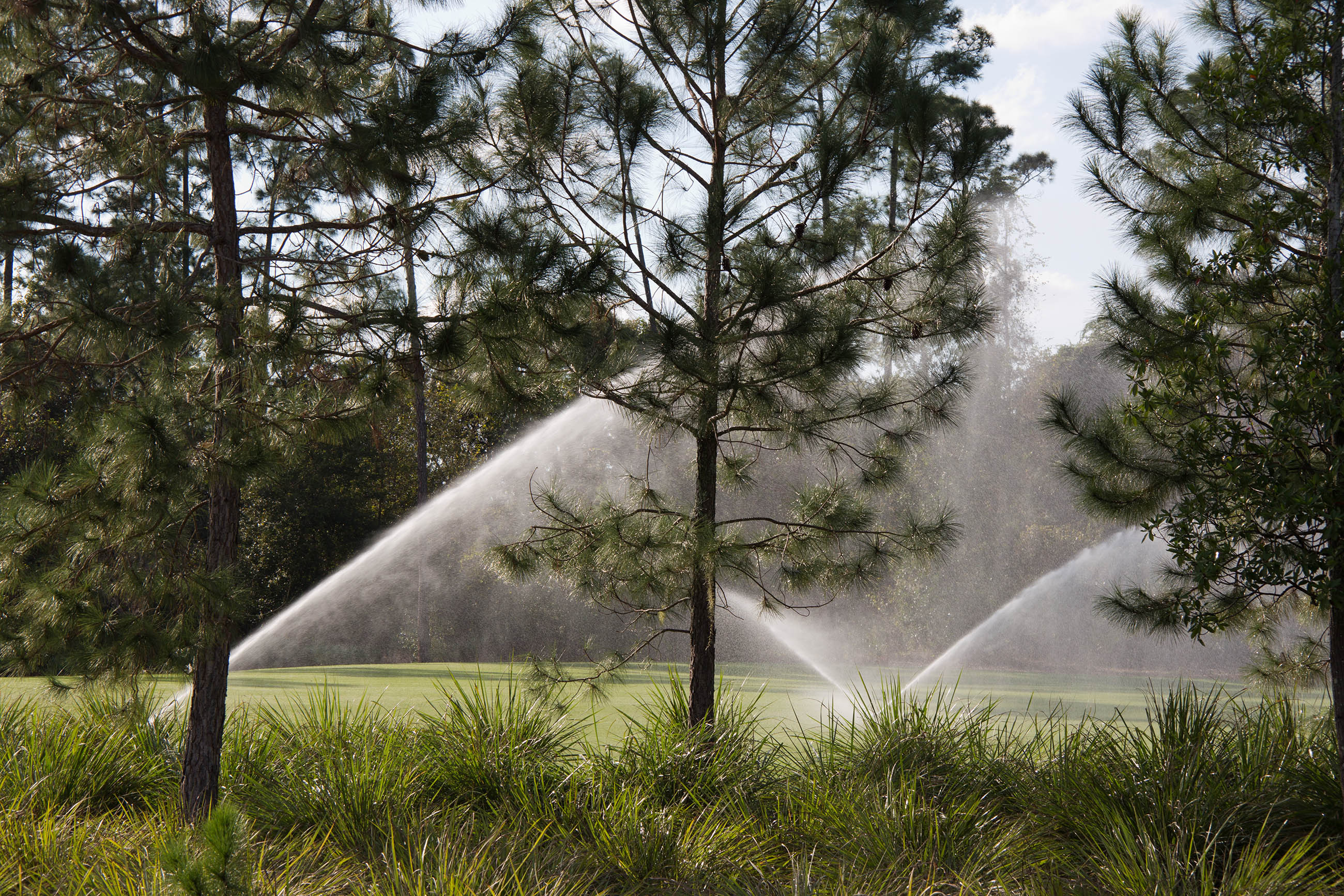Sprinklers on a lawn with trees photo