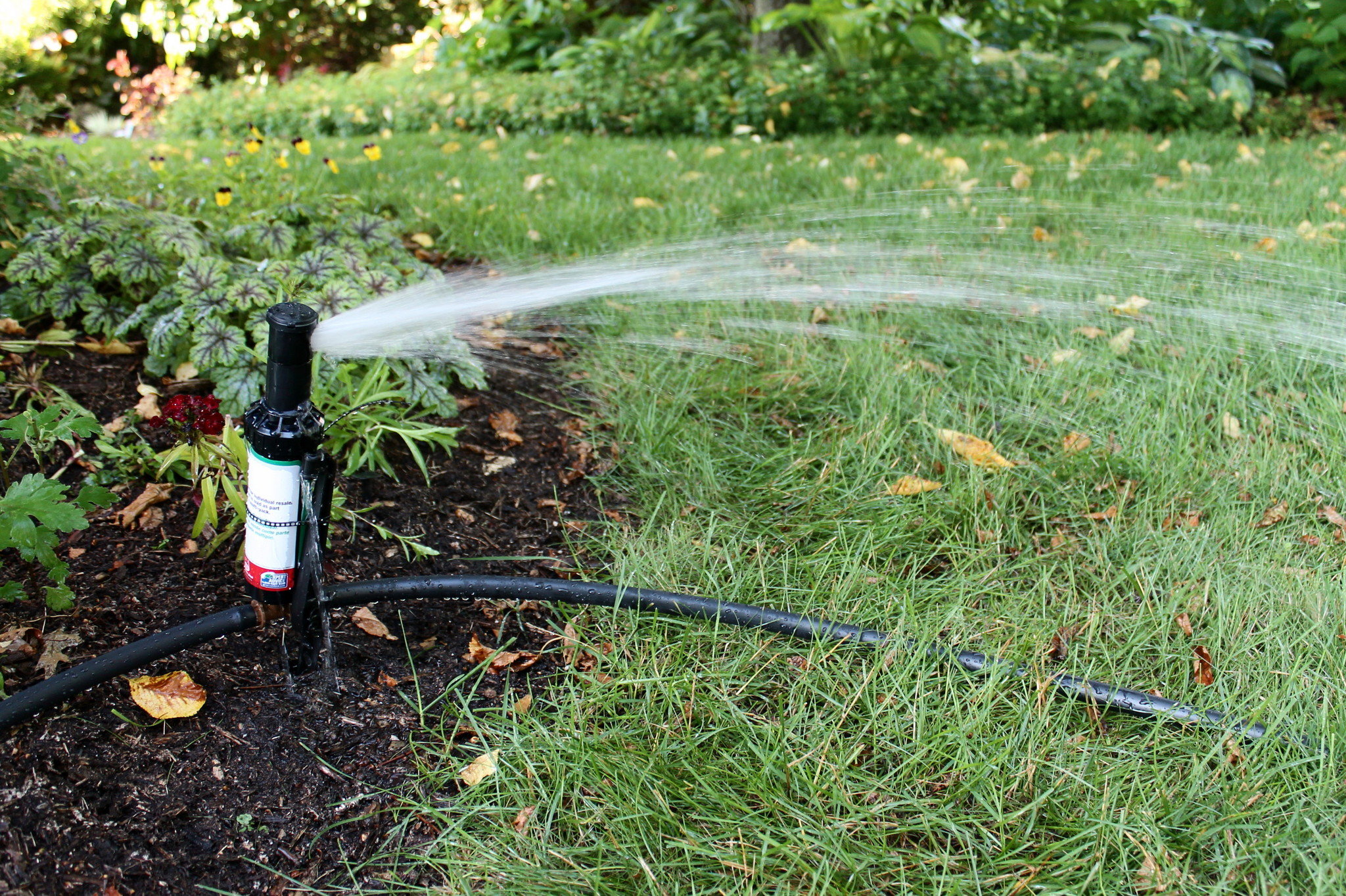 Test time in the garden: DIY sprinklers, a wireless plant sensor and ...