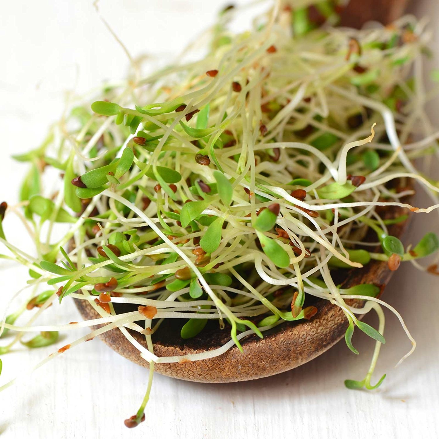The Record on Sprouts and Illness – Safe & Healthy: Preparing and ...