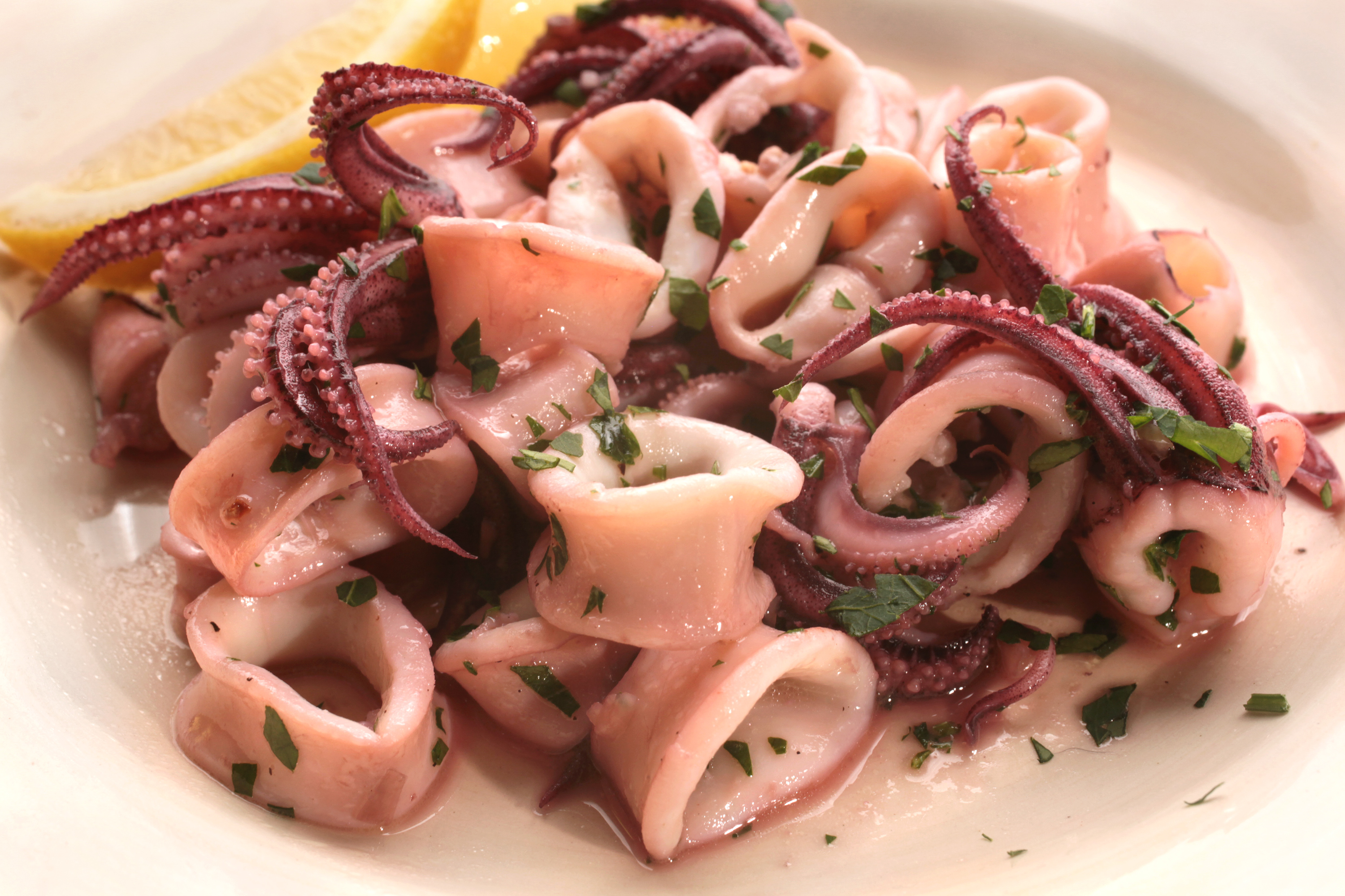 Squid dish photo
