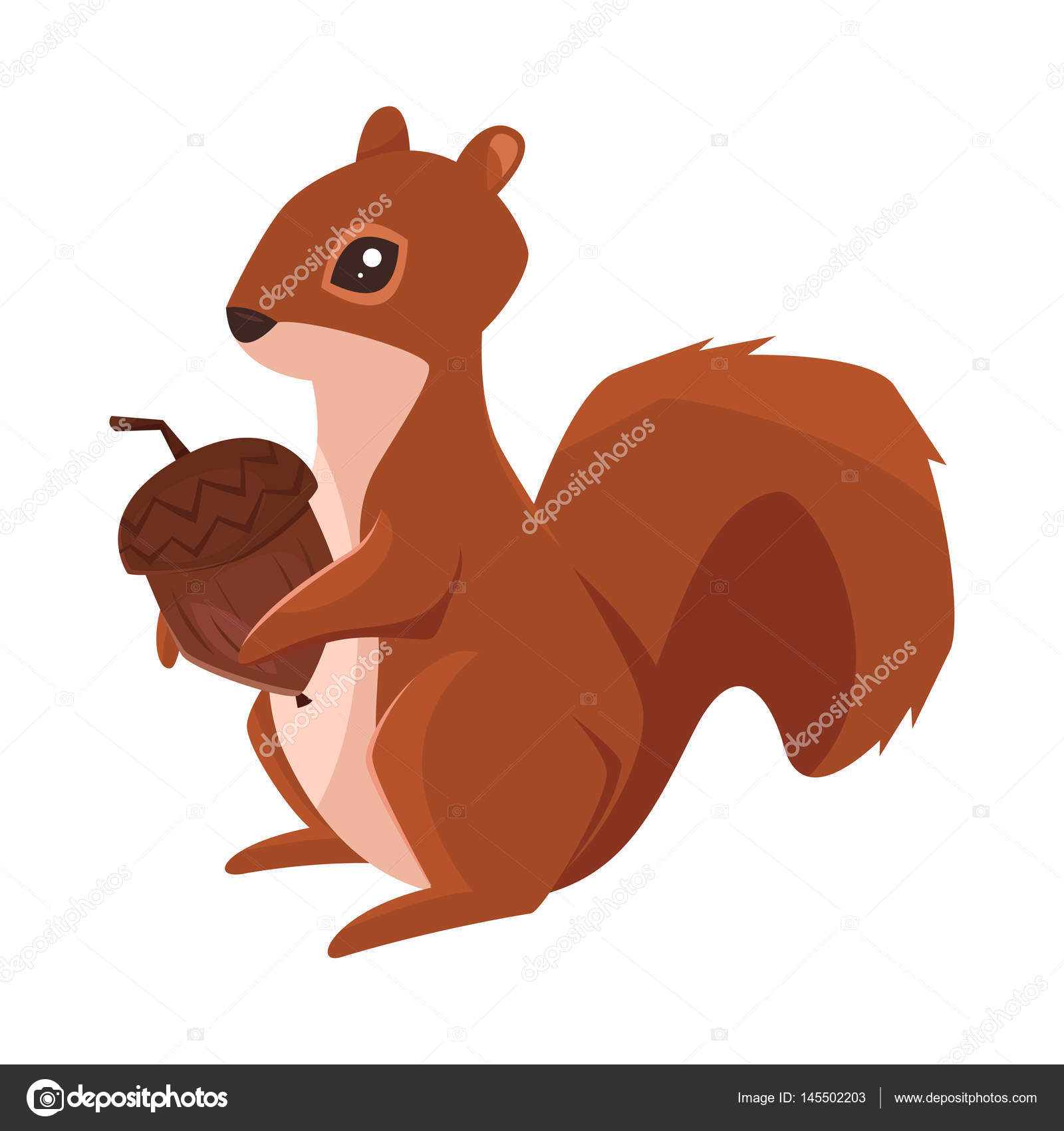 Vector cartoon style illustration of squirrel with acorn — Stock ...