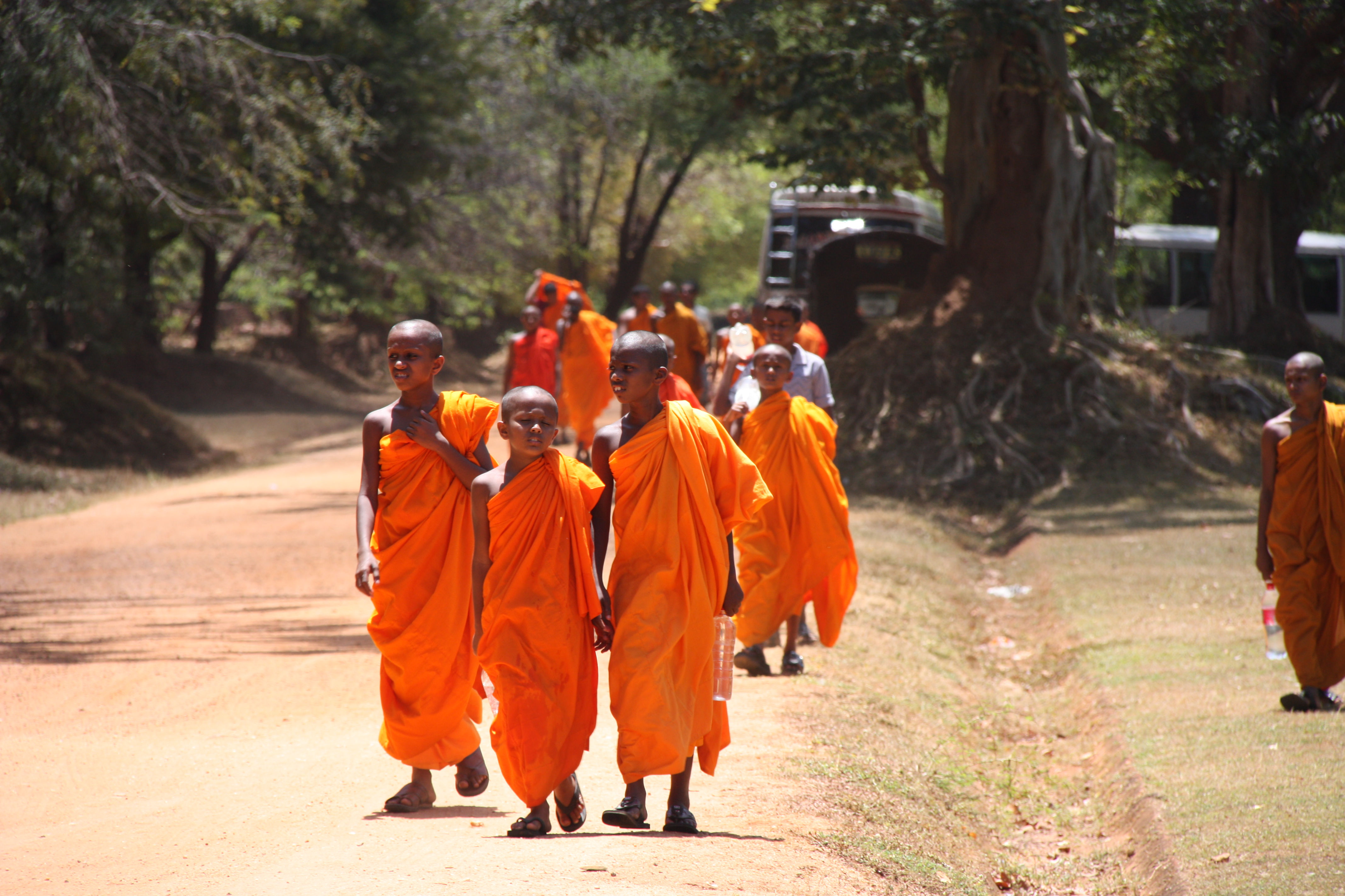 Sri lanka monks photo
