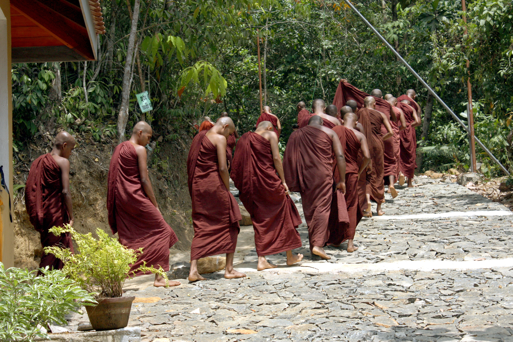 Sri lanka monks photo