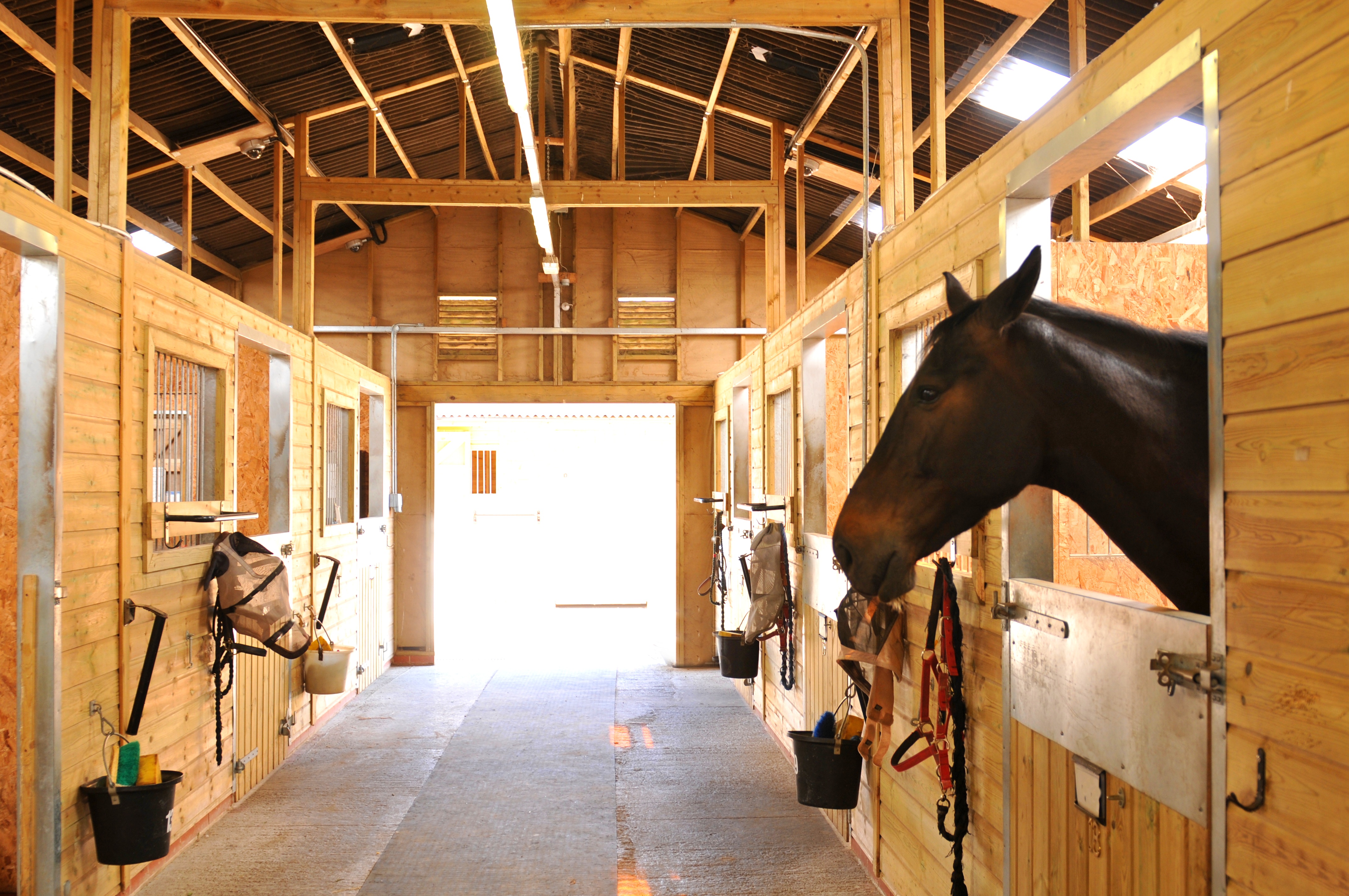15 Amazing Horse Barns You Could Probably Live In