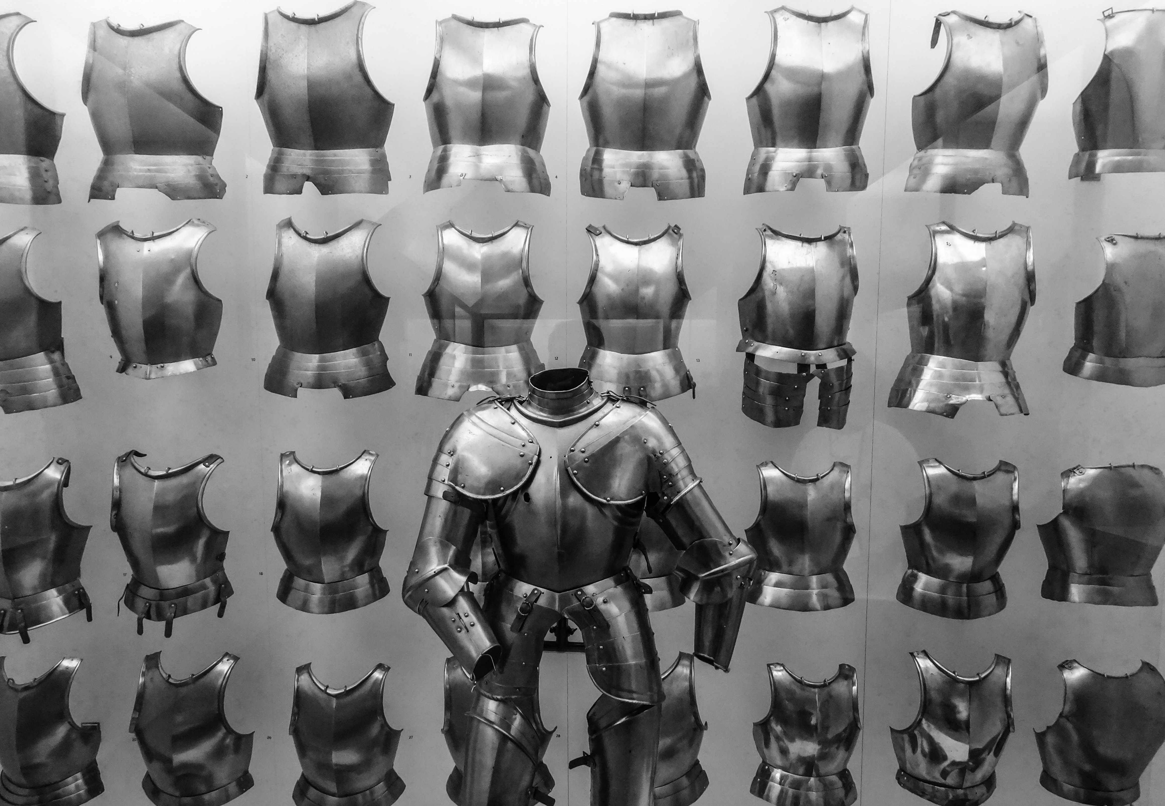Stainless steel armor photo