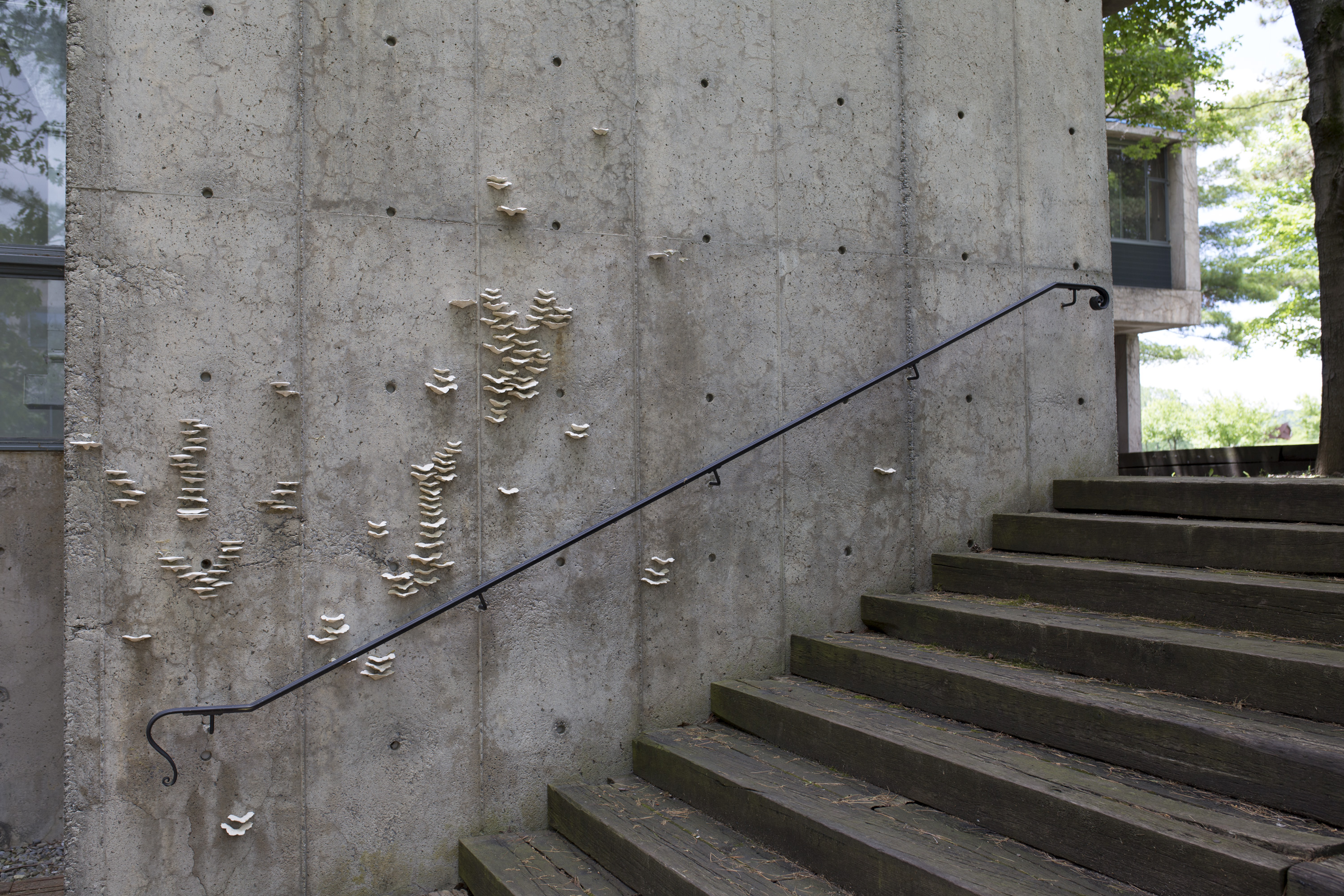 Art Oneida | Stairway to Enlightenment