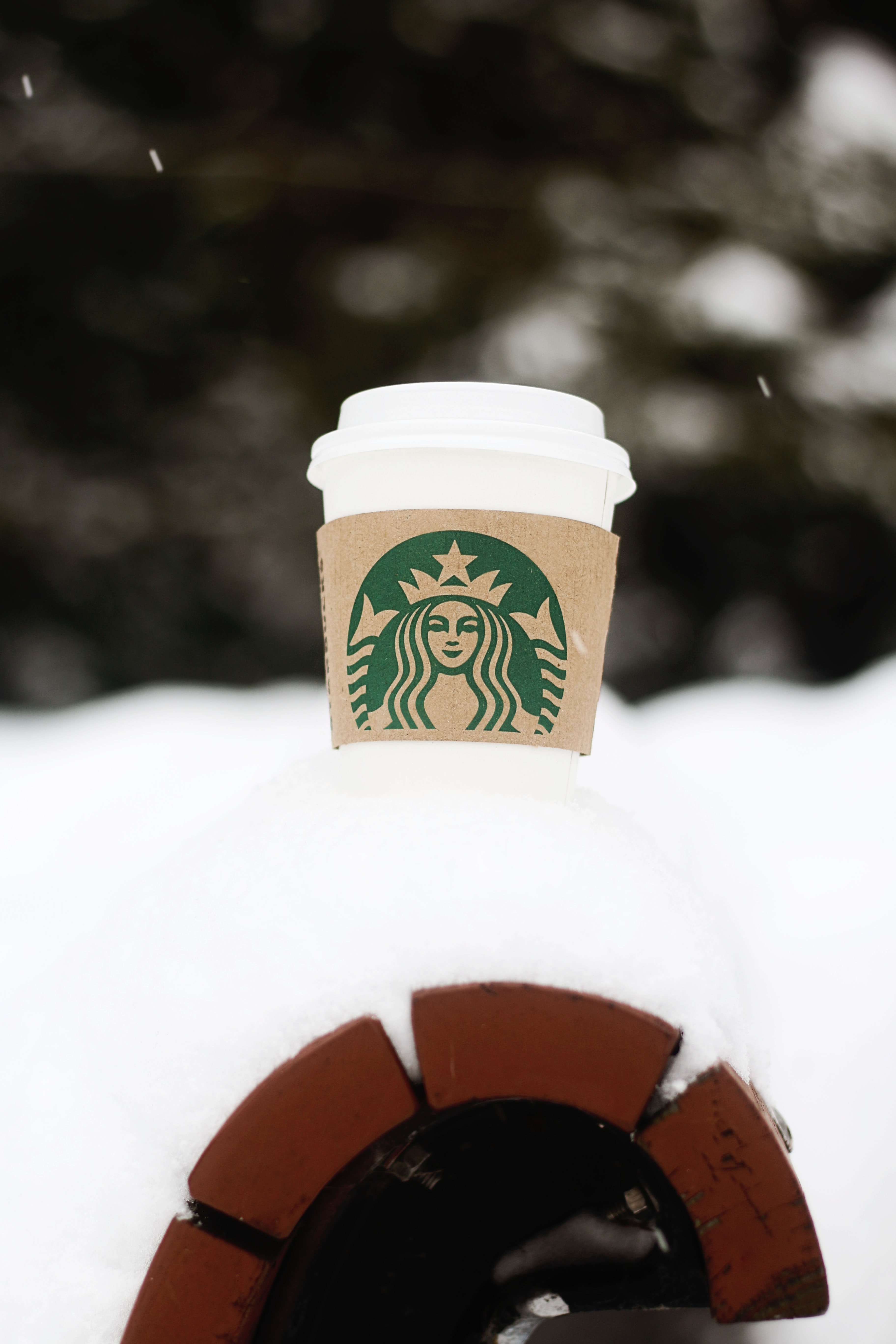 Starbucks Hot Coffee Cup, Bench, Drink, Winter, Tea cup, HQ Photo