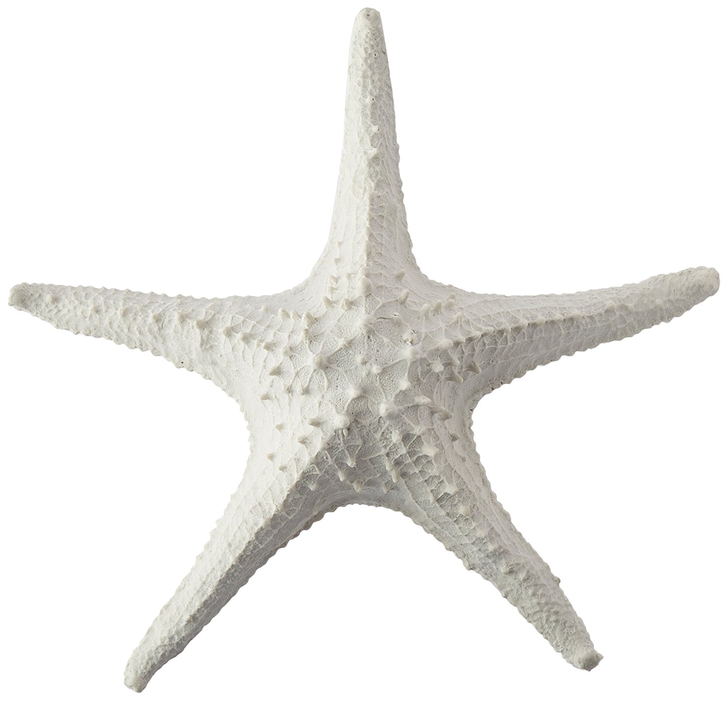 Amazon.com: Abbott Collection 3D Starfish, White (Large): Home & Kitchen