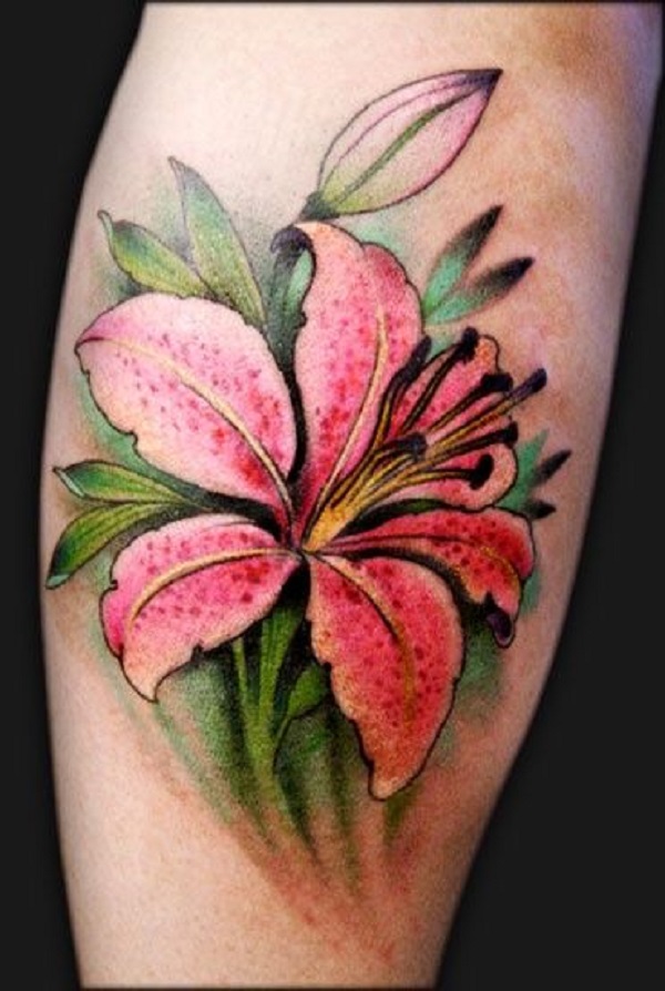 My first color tattoo a tigerlily  Jeff Croci Seventh Son Tattoo San  Francisco CA  Lily flower tattoos Lily tattoo design Tiger lily tattoos
