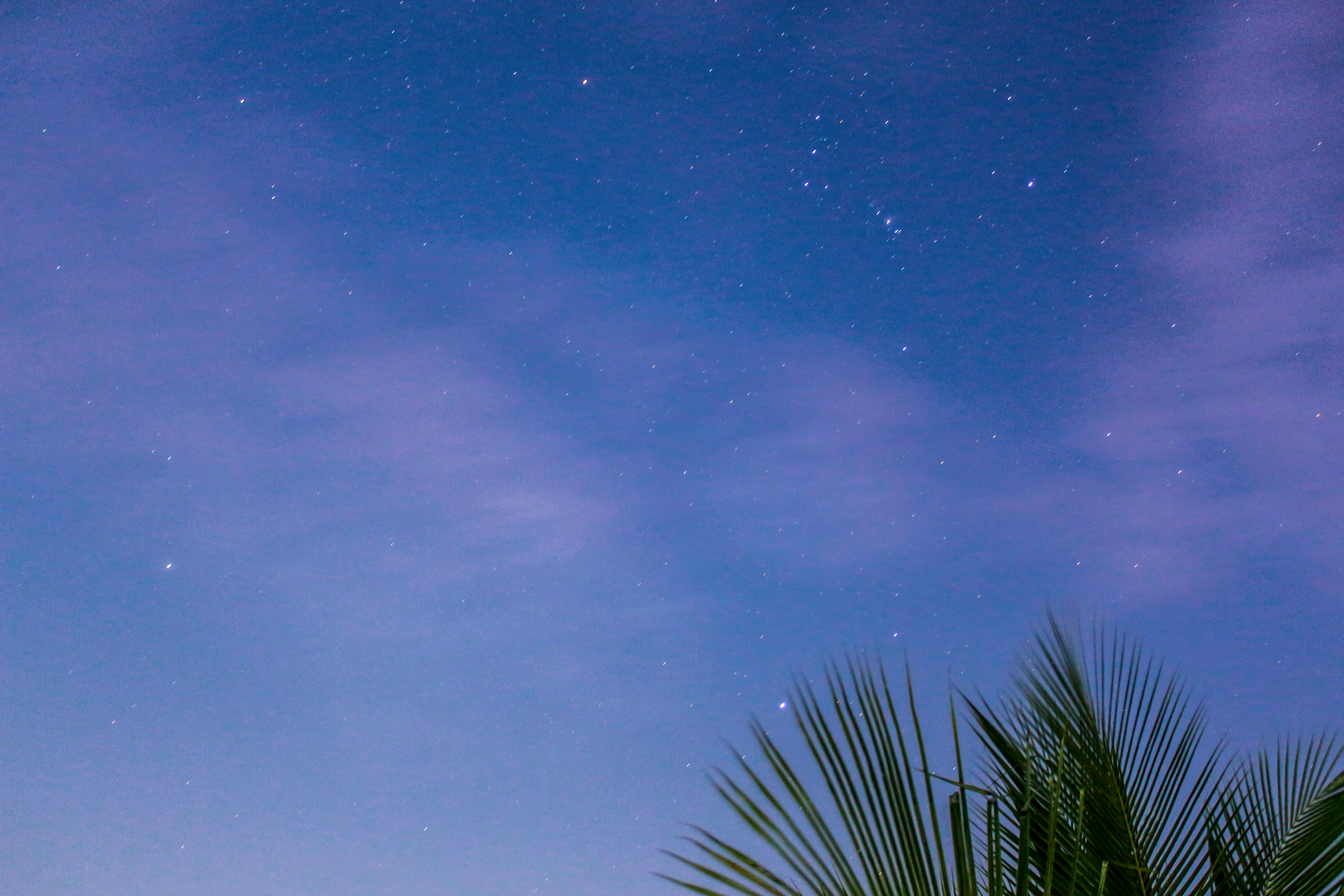 Starry sky during dusk photo