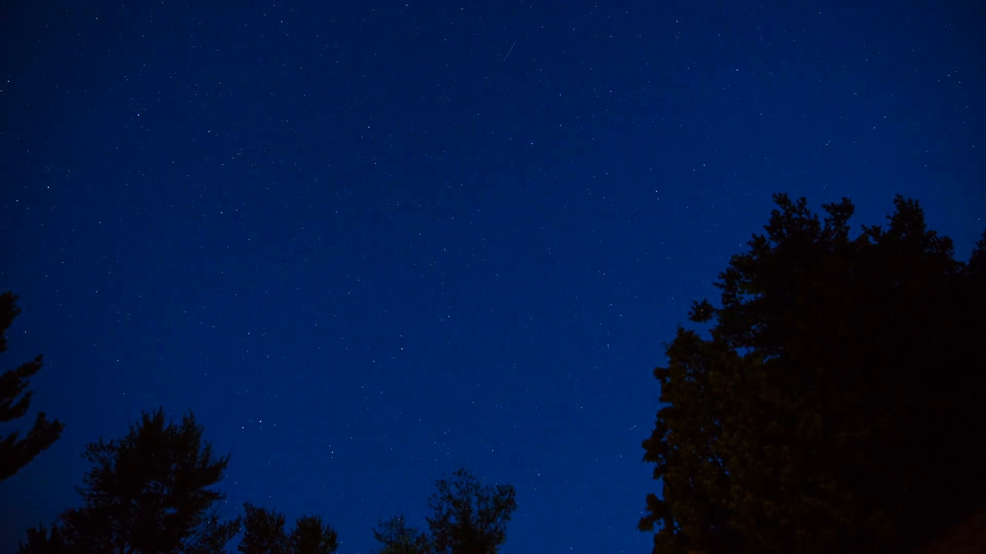 Tree Top Star Timelapse. timelapse looking up into the sky as the ...
