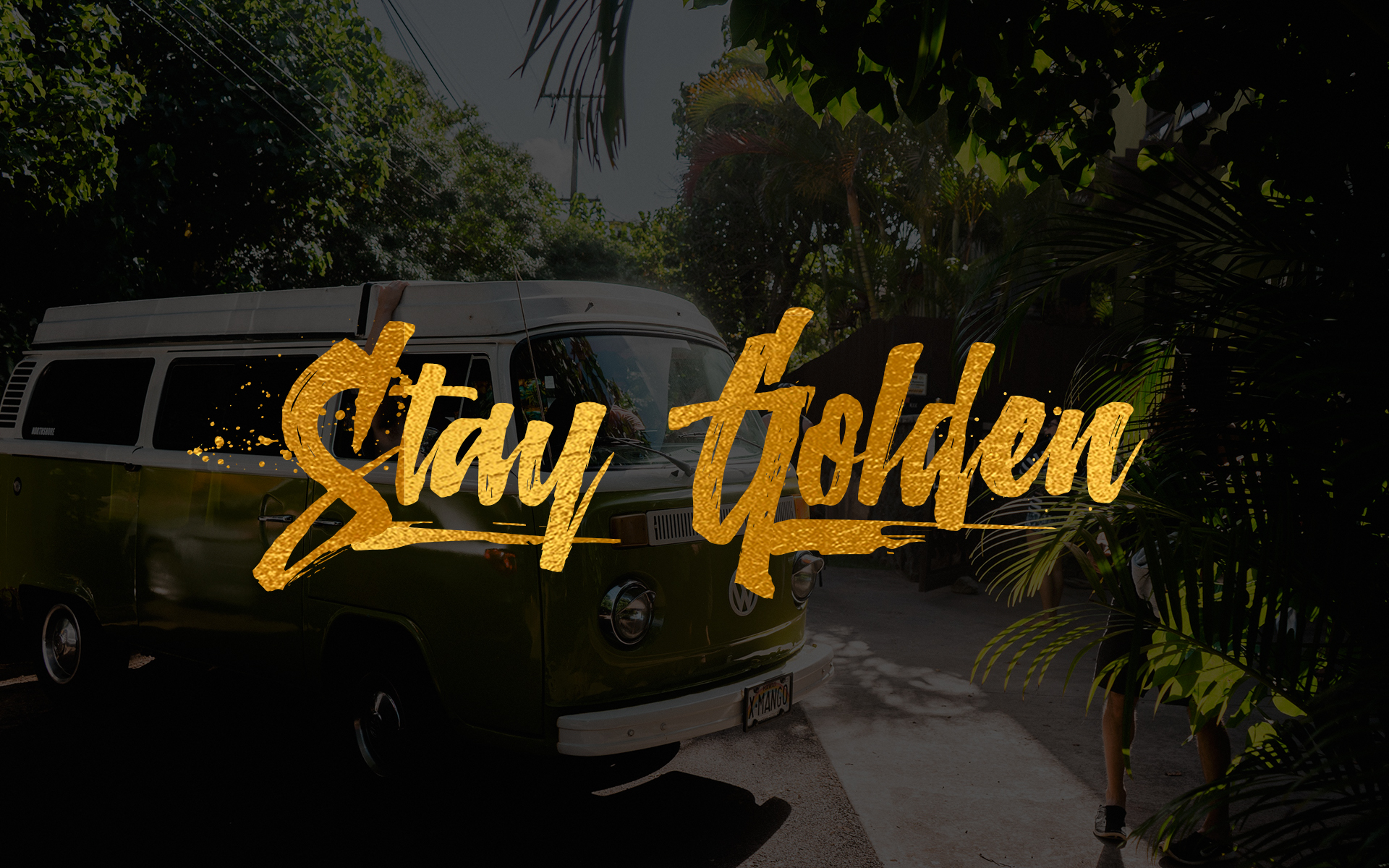 Meaning of Stay Golden | Stay Golden with Pineapple Supply Co.