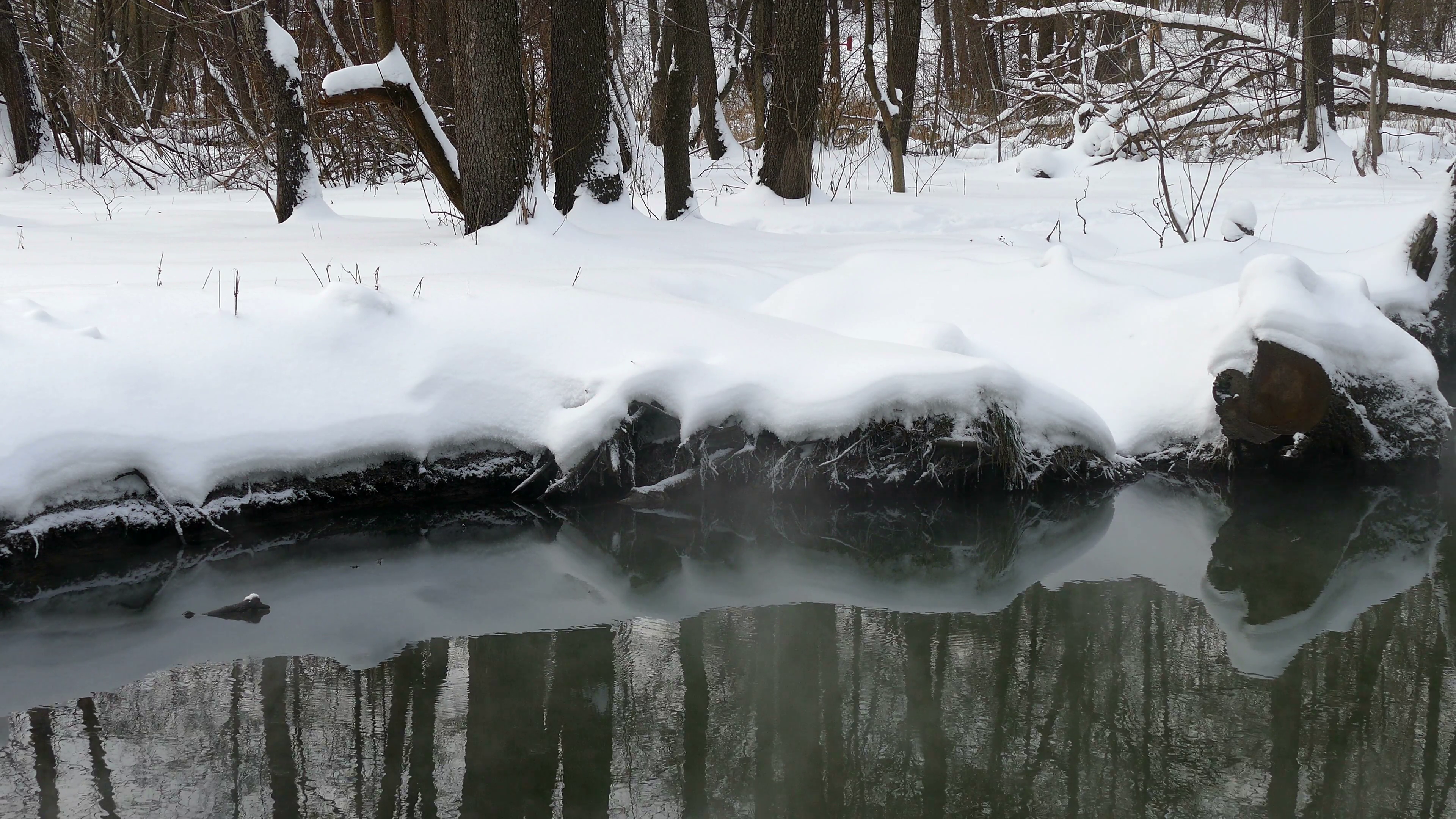 Winter unfrozen stream with steam and reflection, snow Stock Video ...