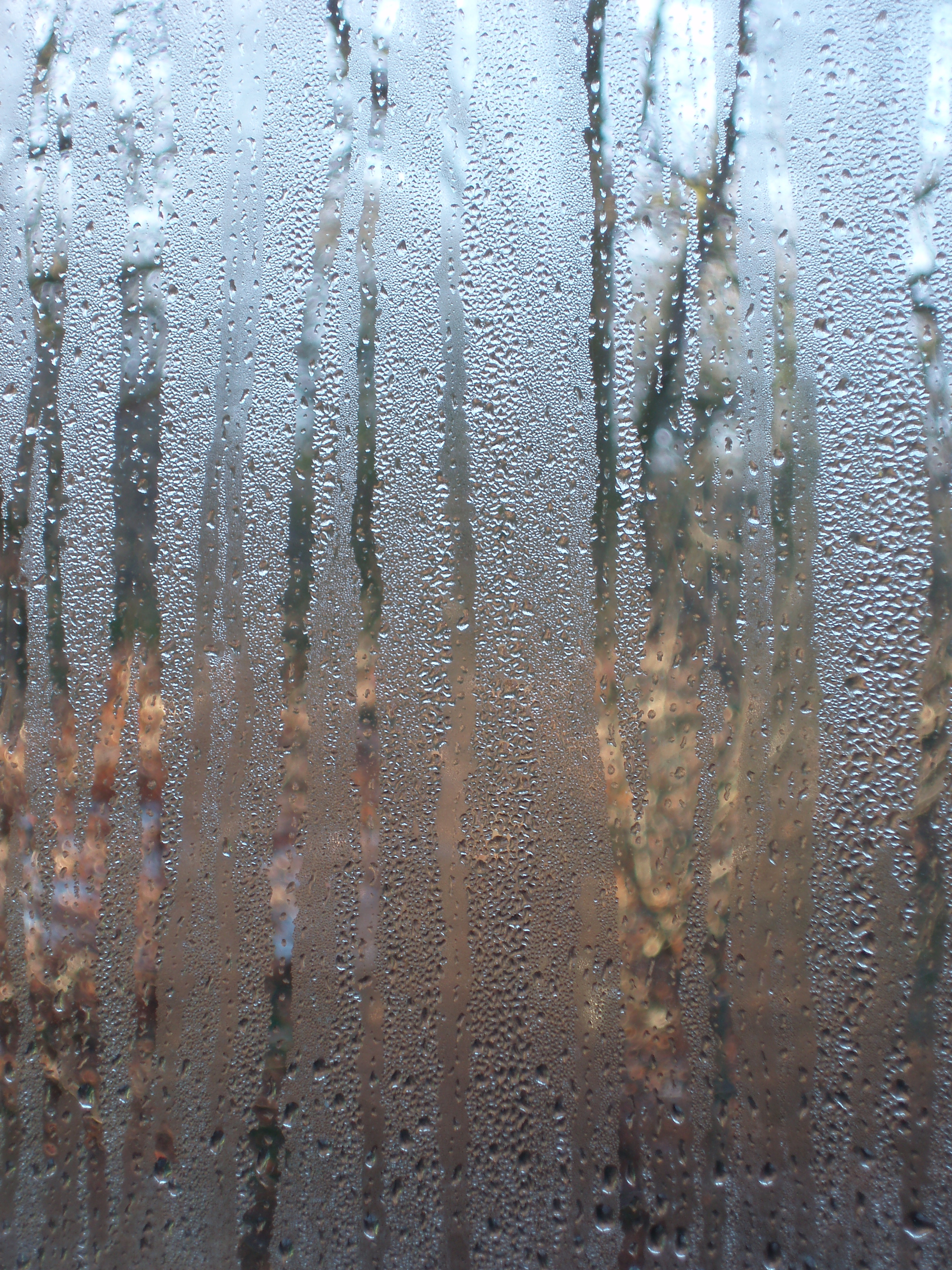 window condensation | Free backgrounds and textures | Cr103.com