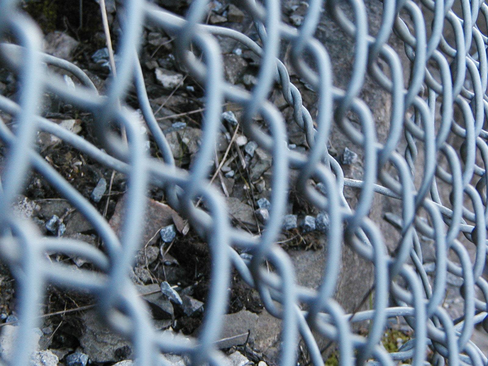 Steel fence grid photo