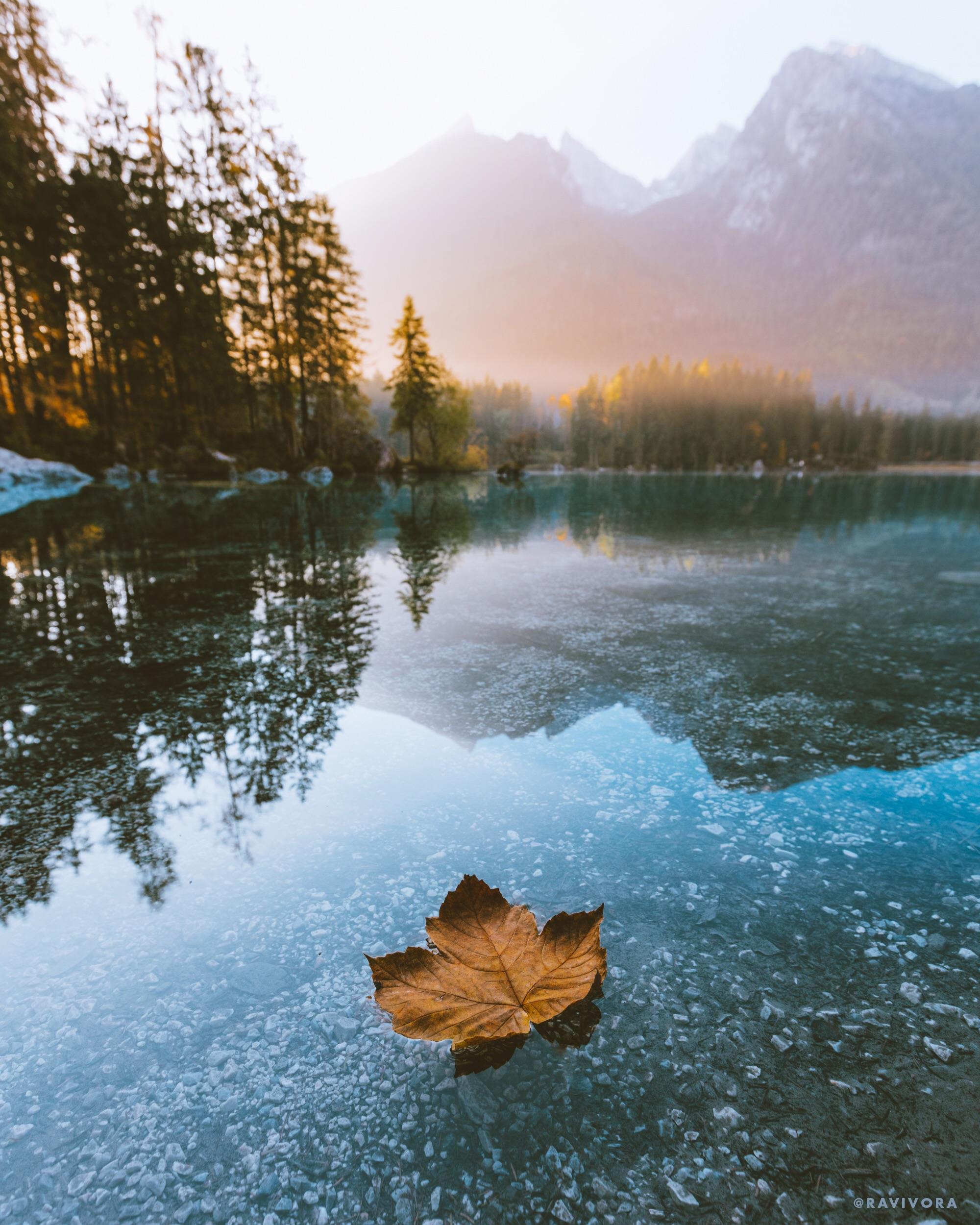 A lone leaf floating on a perfectly still lake in Germany by ...