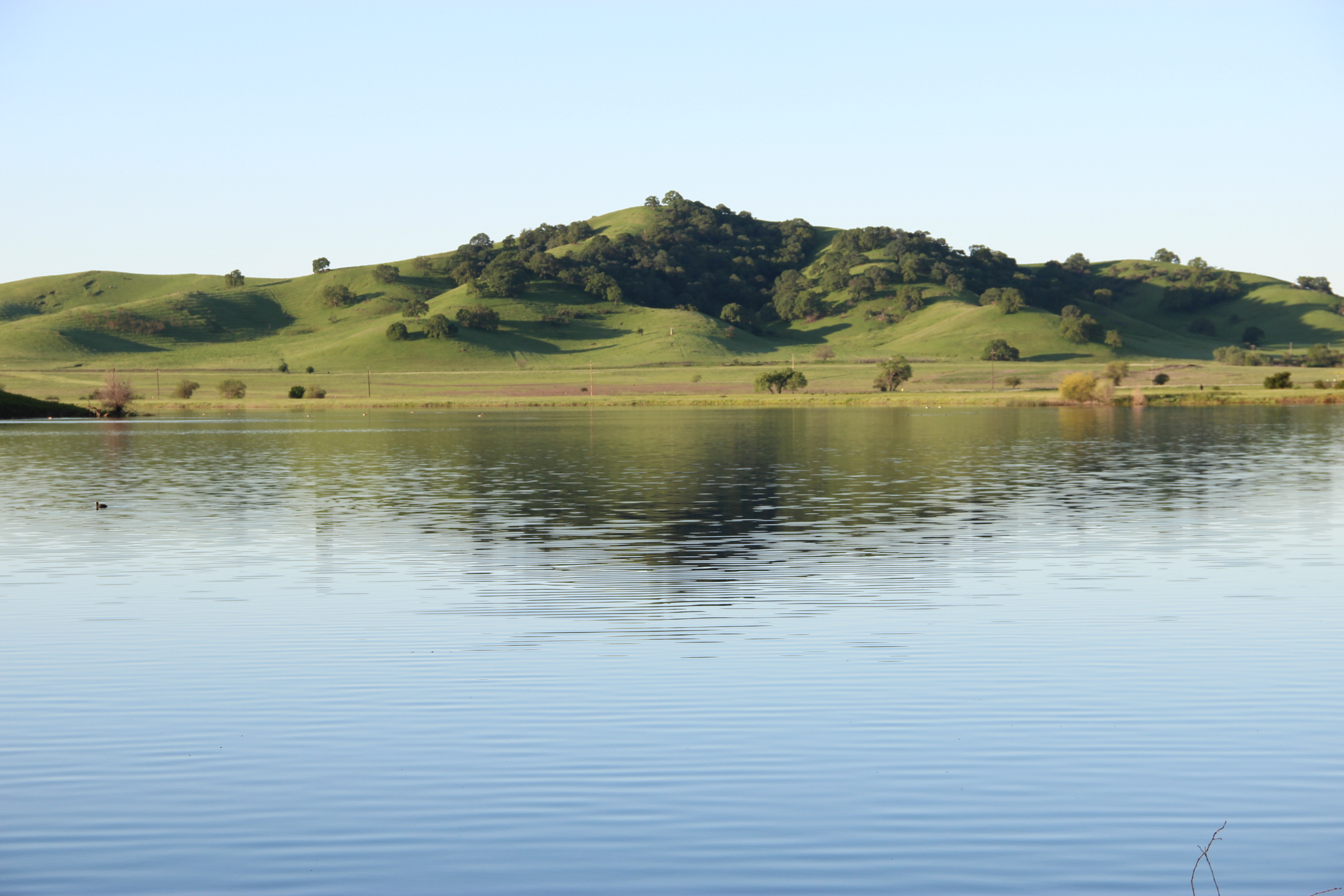 Free Stock Photo of Still Lake in Front of Green Hills