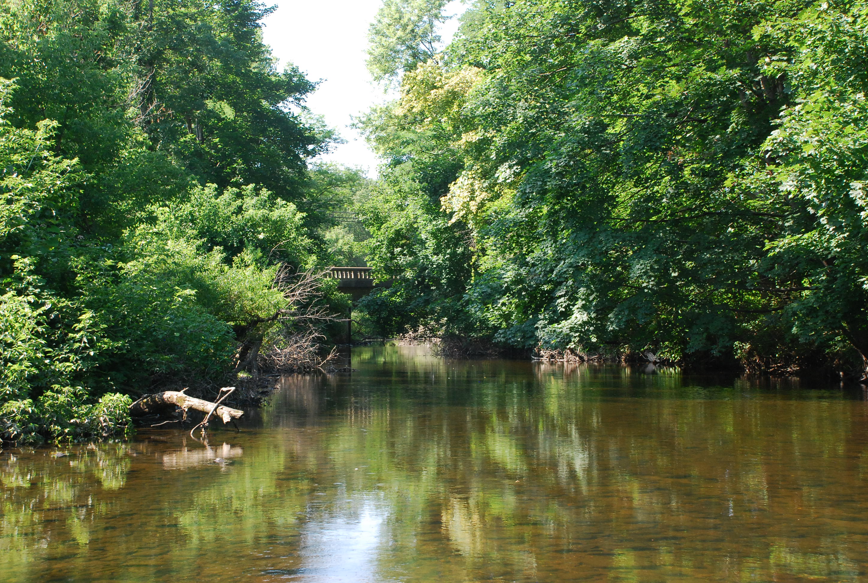 Photos of Upper River Sample Sites | Farmington River Watershed ...