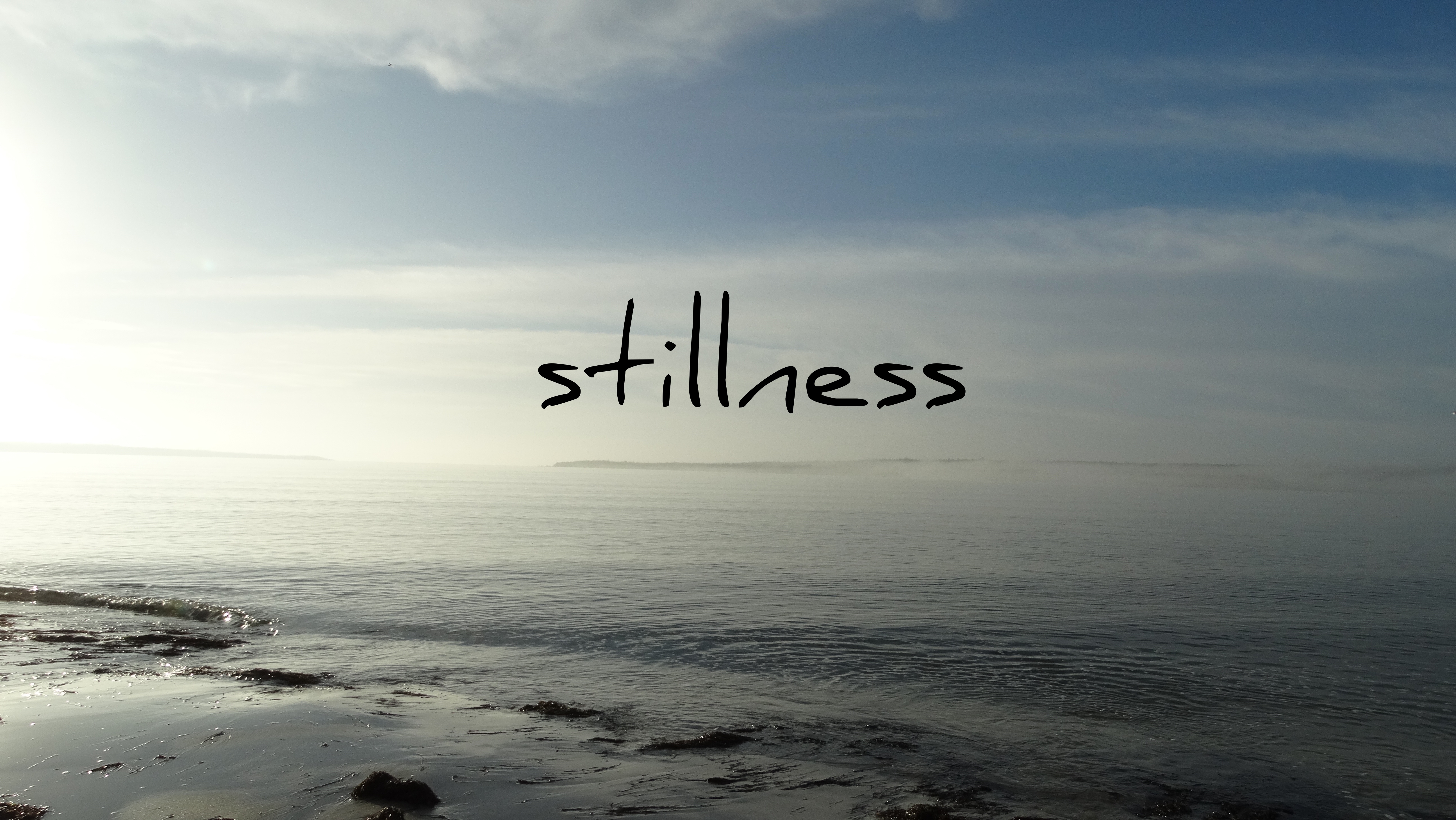 stillness – Tess Adams Coaching