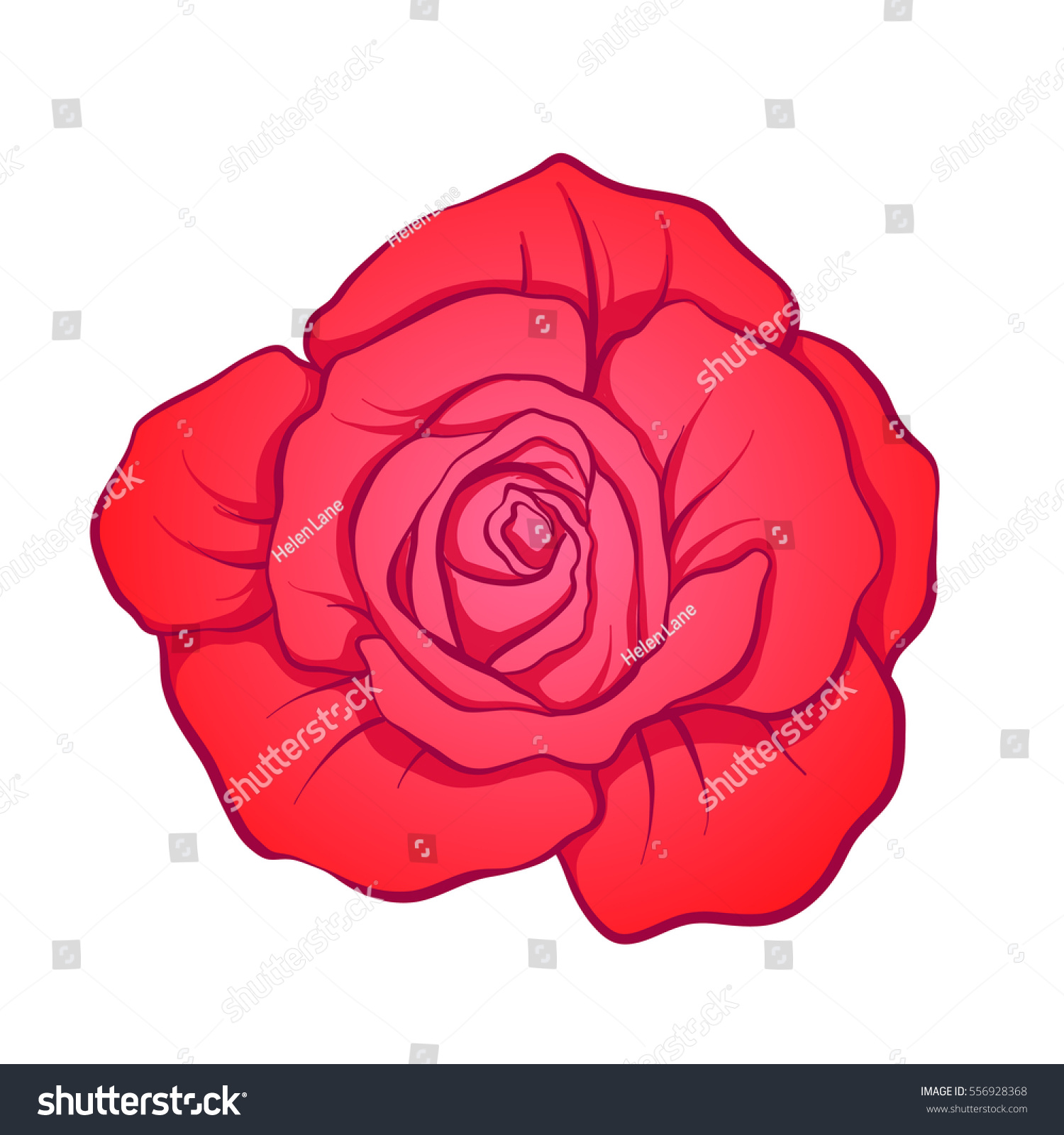 Red Rose Flower Isolated Hand Drawn Stock Vector 556928368 ...