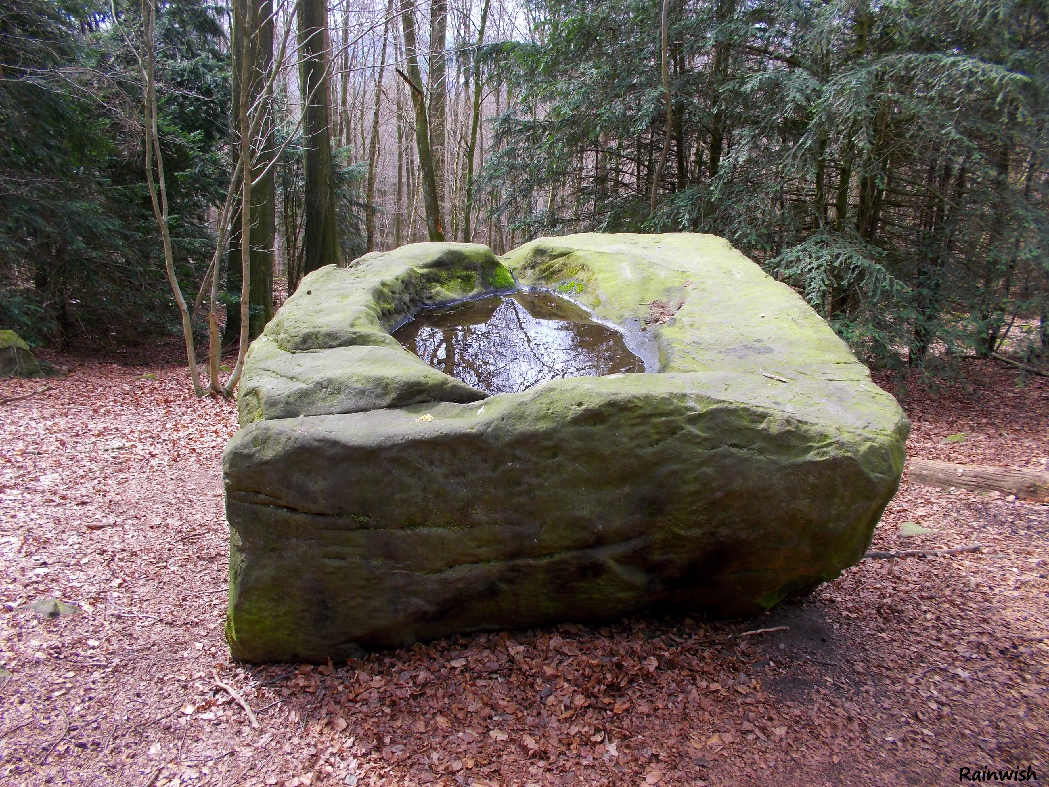 Alte Taufe - an ancient sacrificial altar stone in the Deister ...