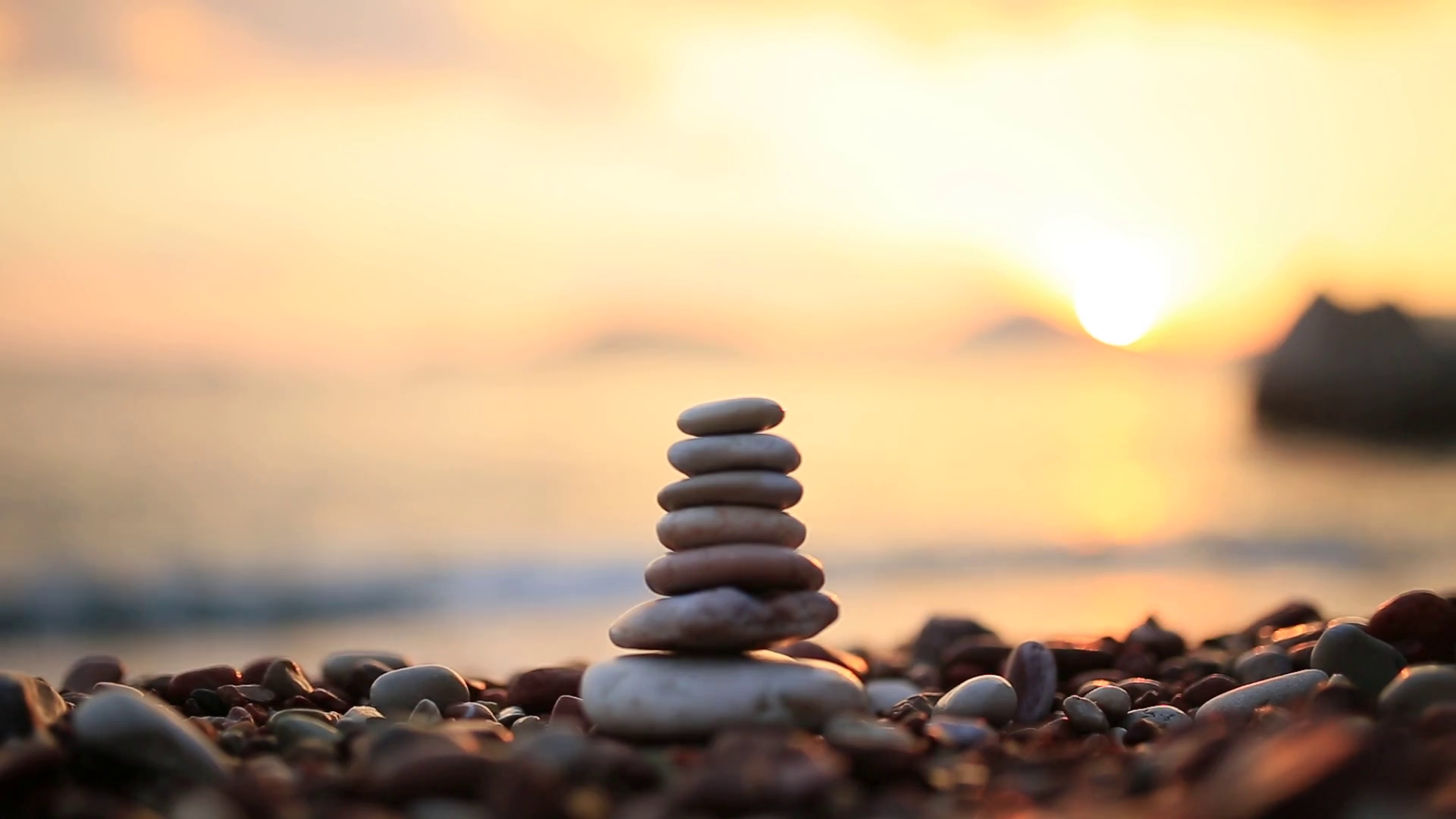 ZENULIFE Natural Health Food Supplements And Skin Care