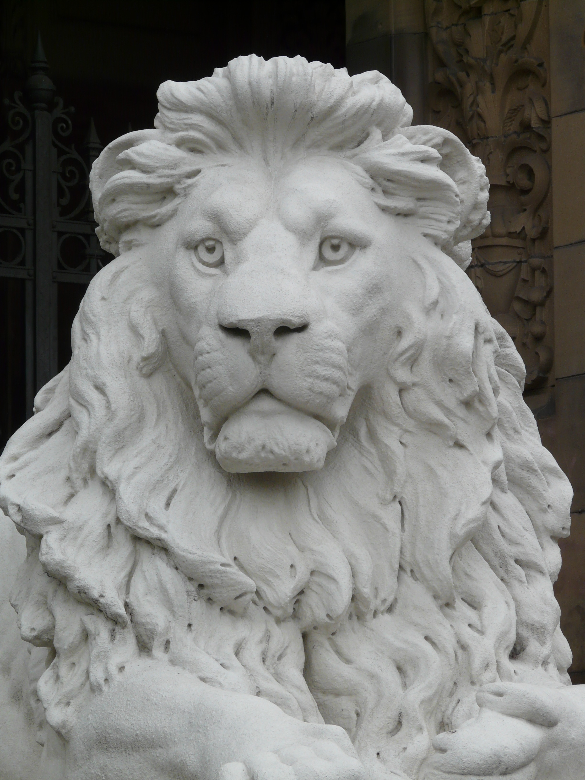 Free Images : white, animal, monument, statue, lion, art, head ...