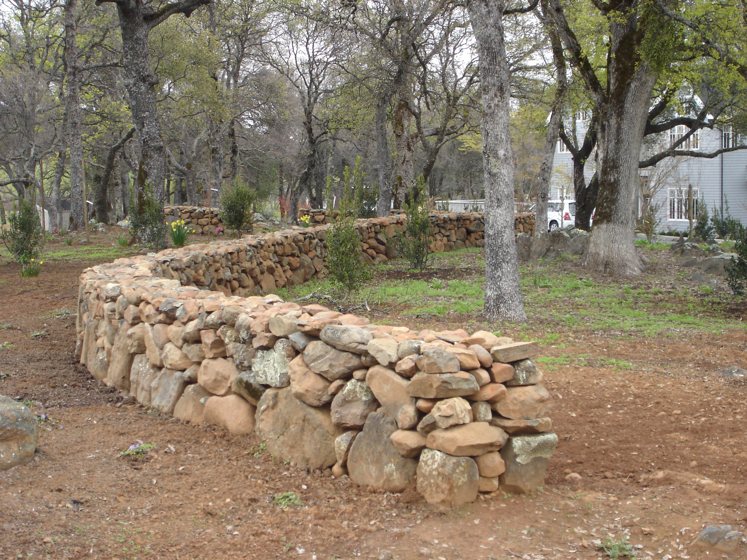 True dry stack stone fence - if only they would allow this in ...