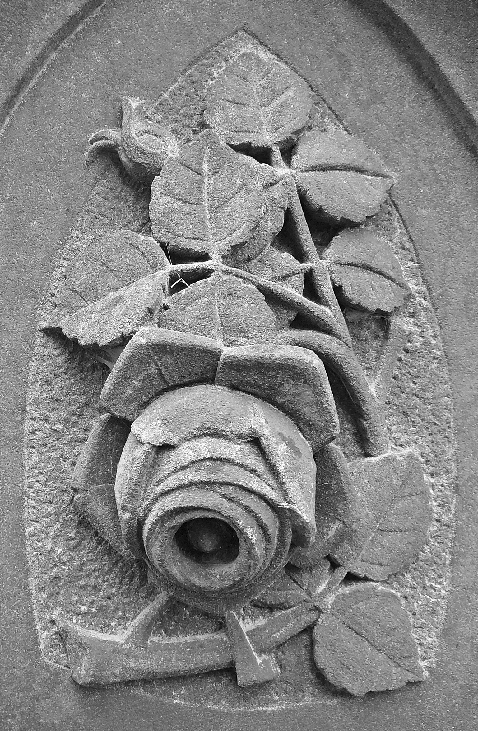 File:Stone Rose.jpg - Wikimedia Commons