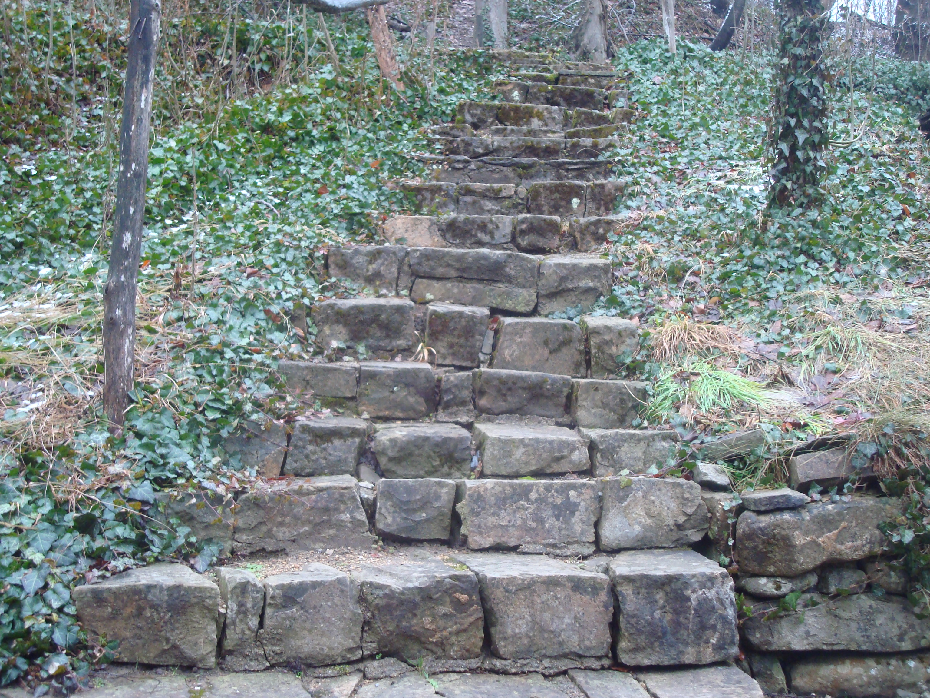 Stone steps in the park photo