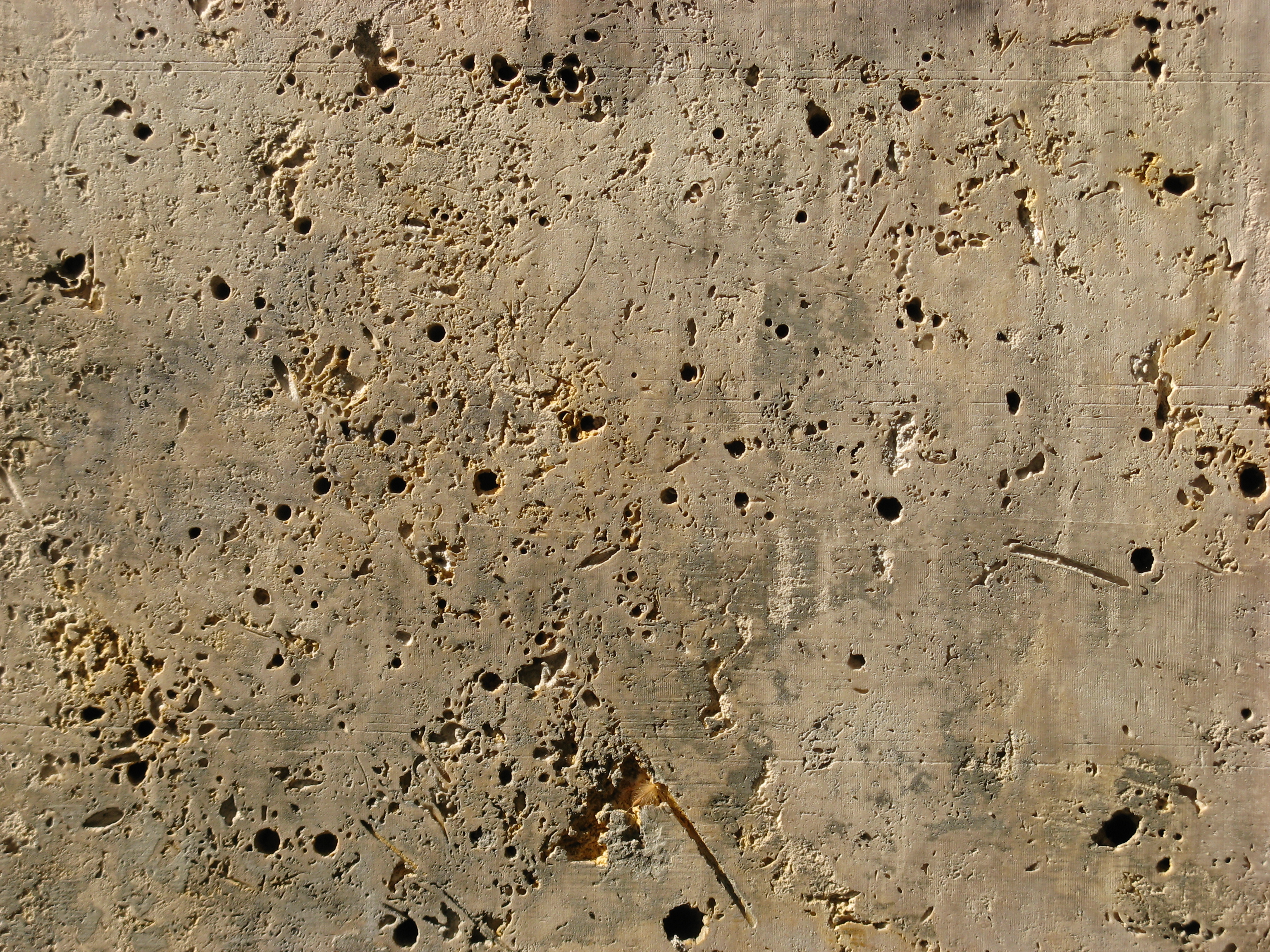 Stone texture (lime, surface, close)