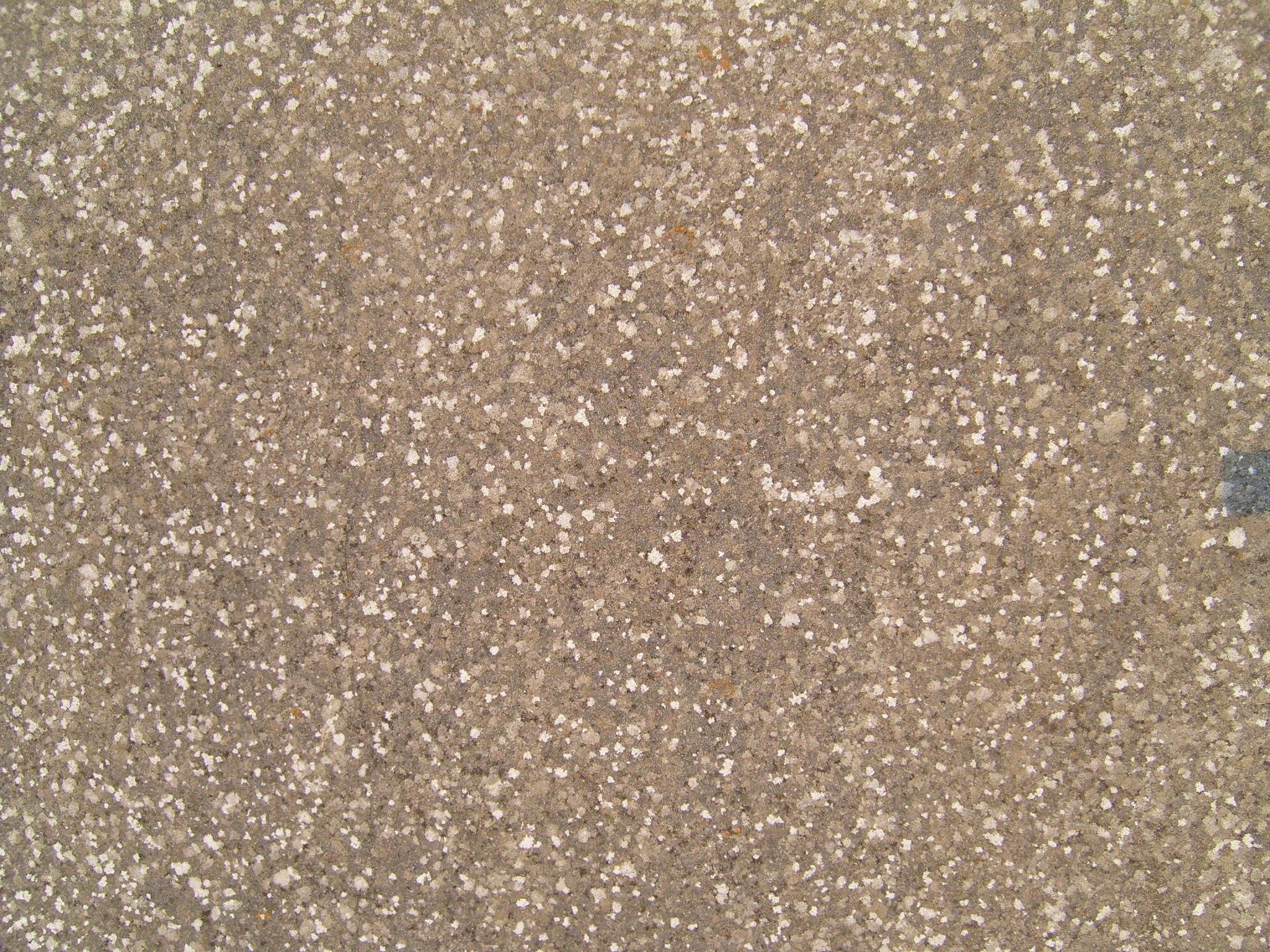 File:Stone surface with lichens.jpg - Wikimedia Commons