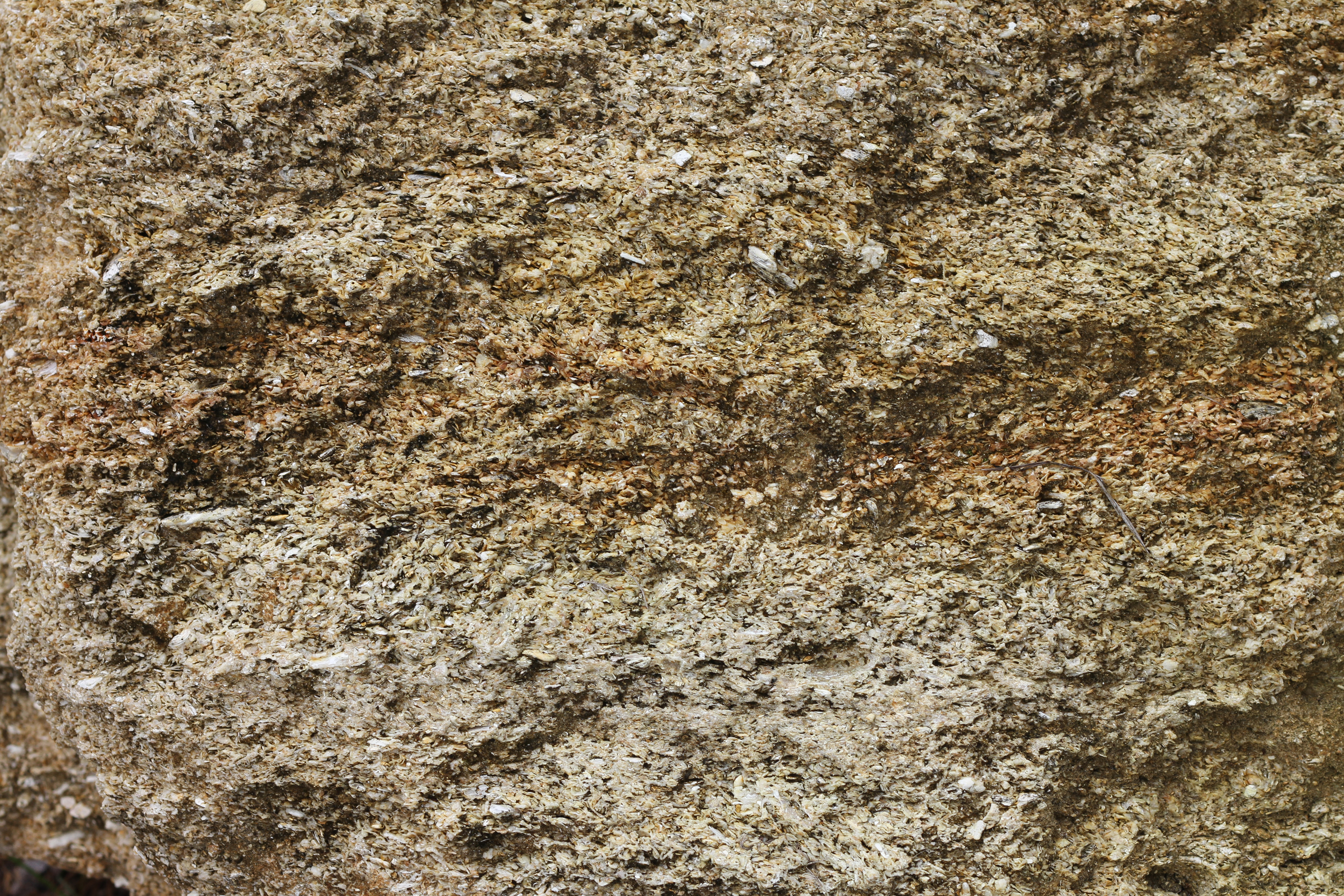 Medium Brown Stone Texture - 14Textures