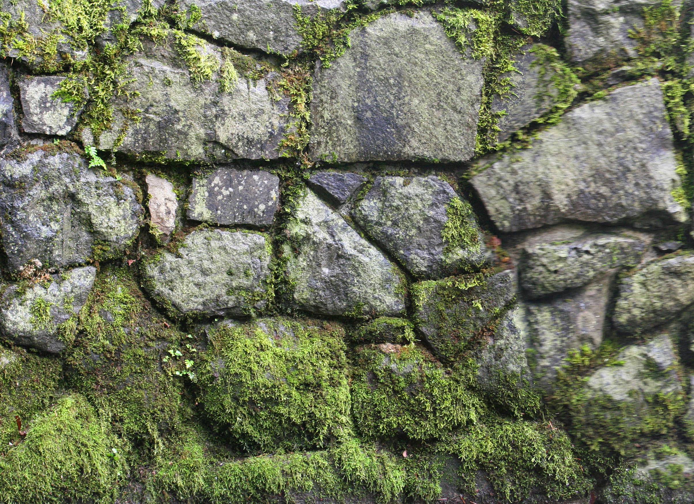 20+ Stone Wall Textures | FreeCreatives