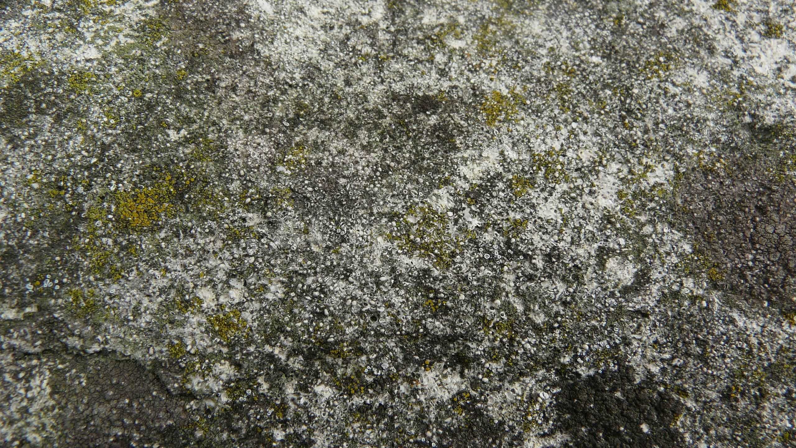 Free picture: stone, high, definition, texture