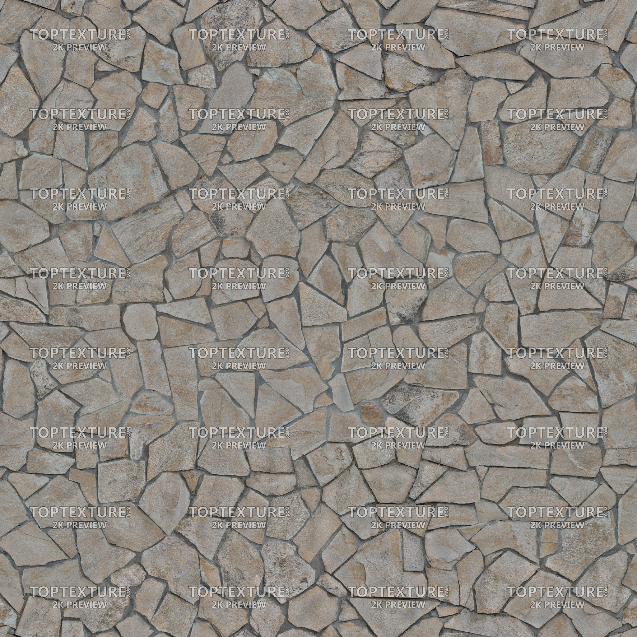 Irregular Shaped Beige-Brown Stone Tiles - Top Texture