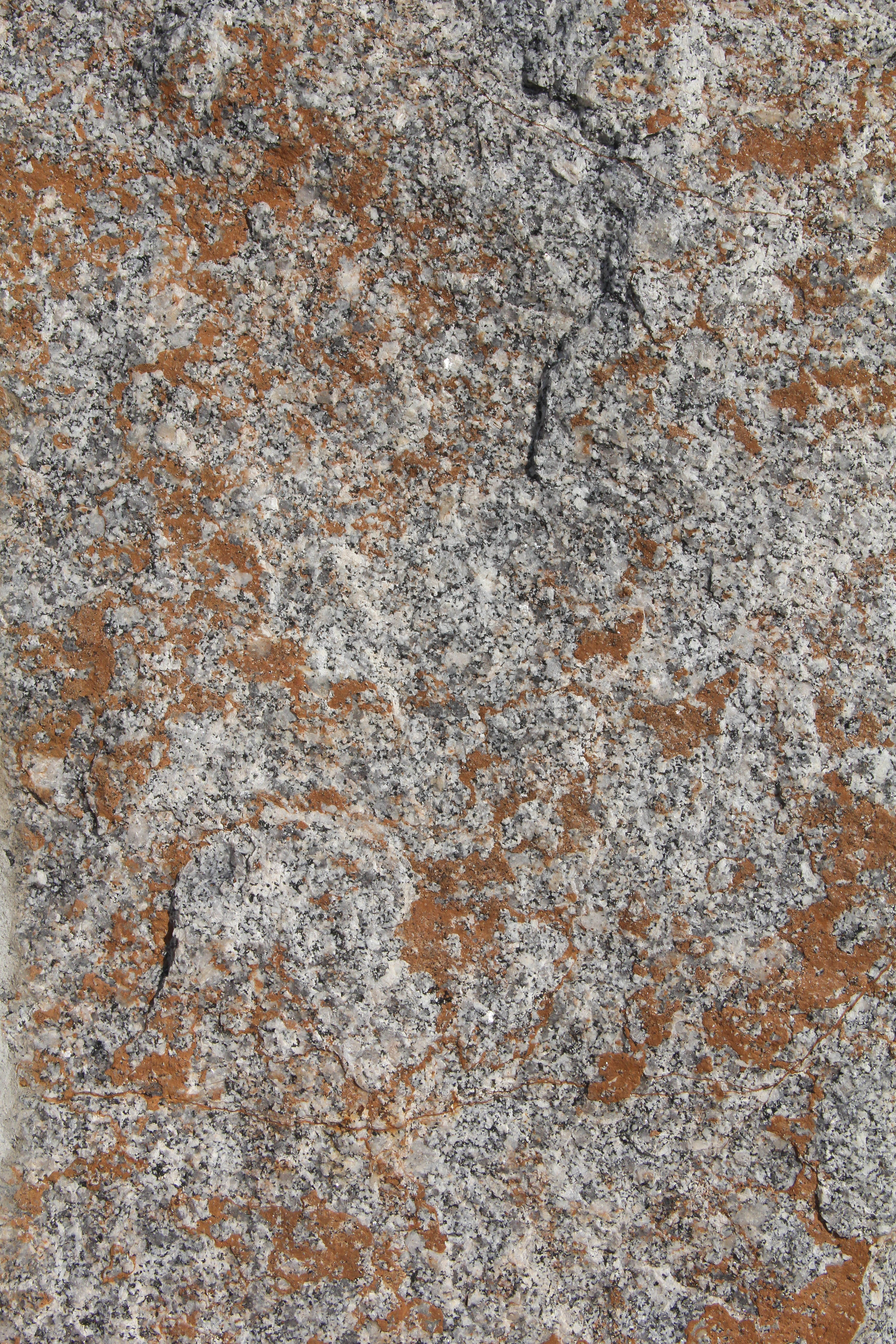 Stone Texture rock face algae granite surface grey orange photo ...