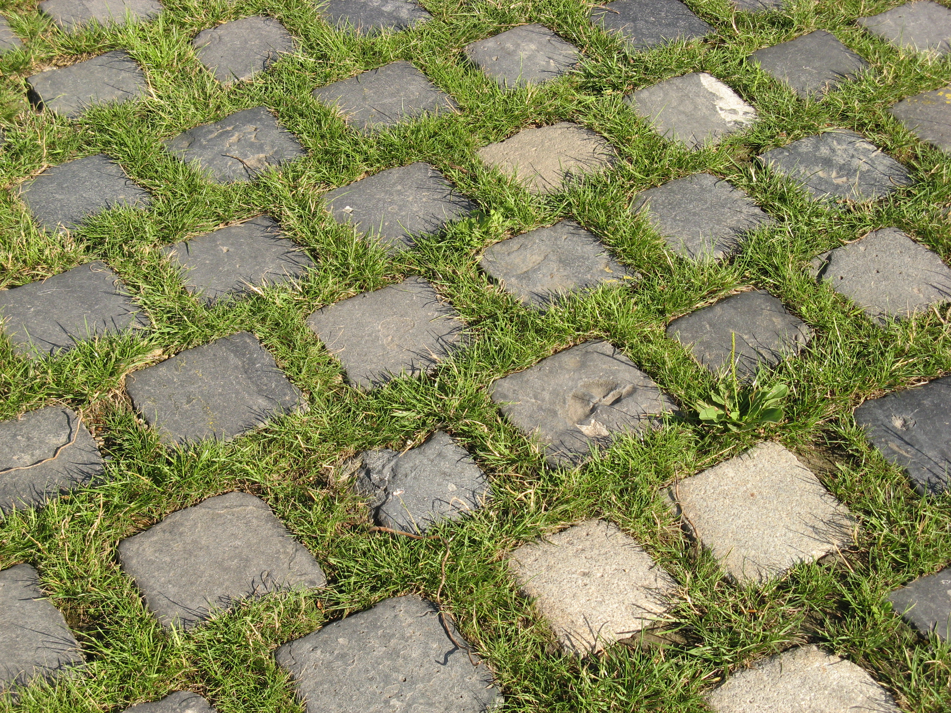 Free Stone texture (cobble, grass, joint)