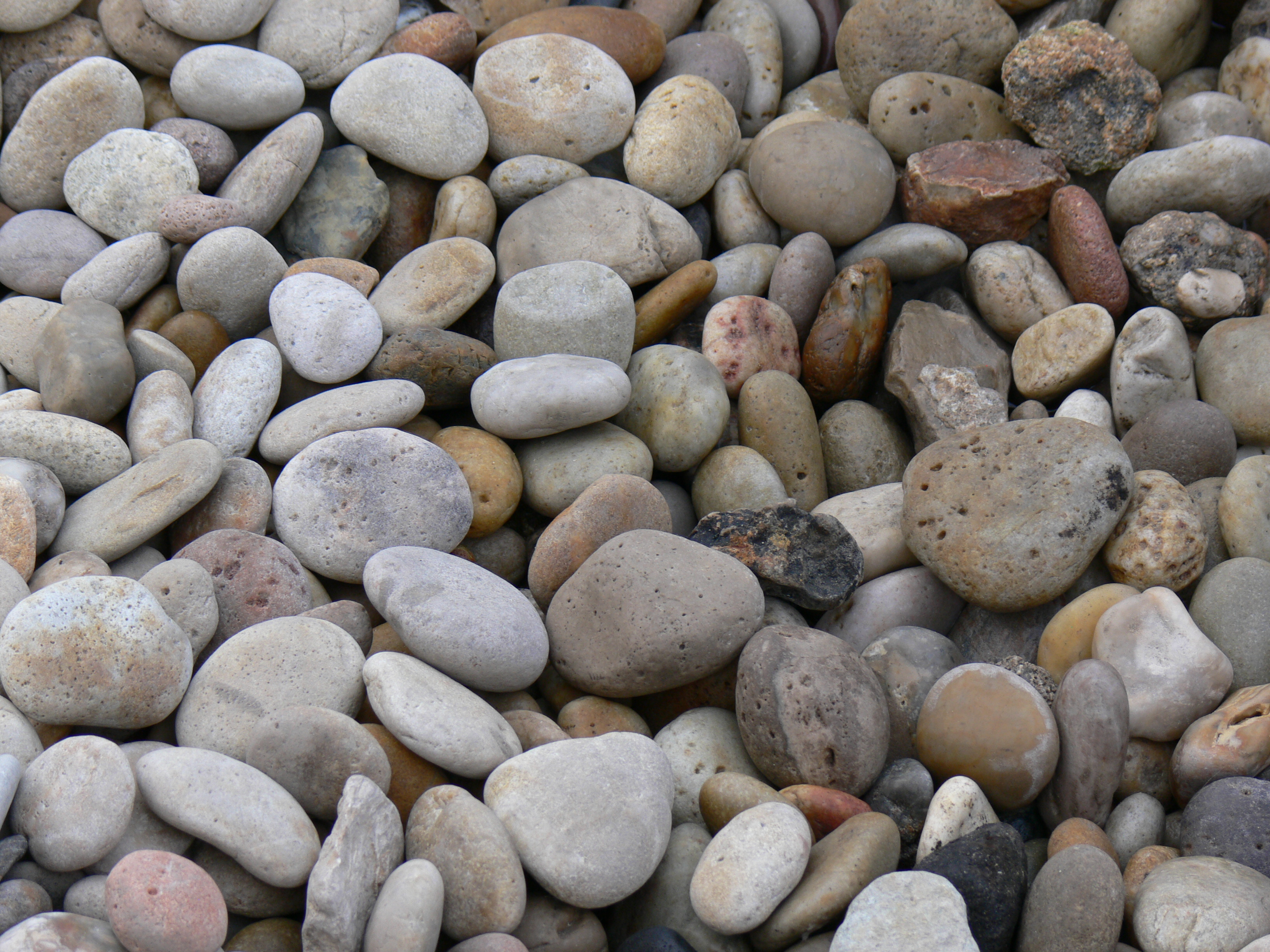 File:Lakeshore stones.jpg - Wikimedia Commons