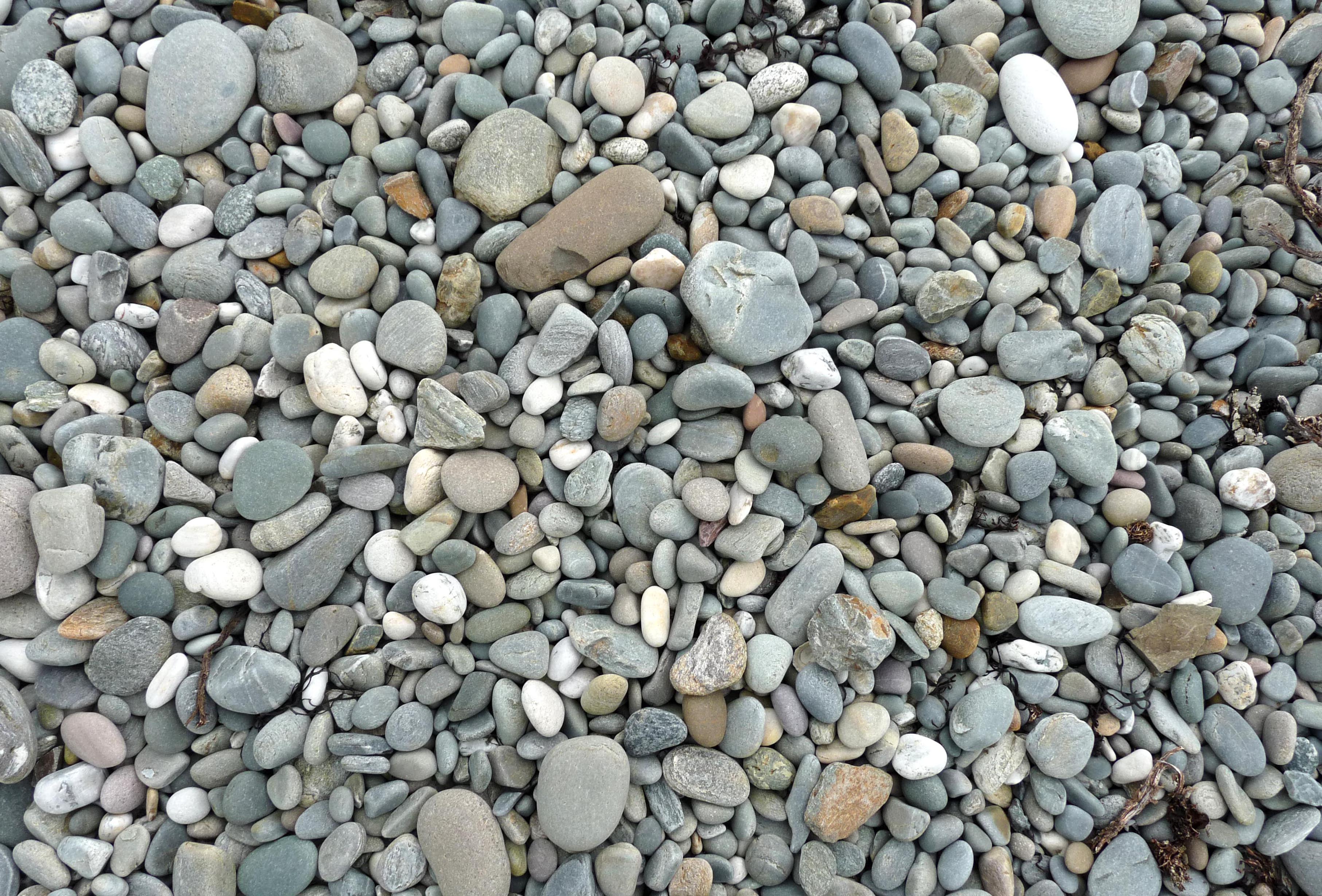 File:Renvyle beach stones (3585122829).jpg - Wikimedia Commons