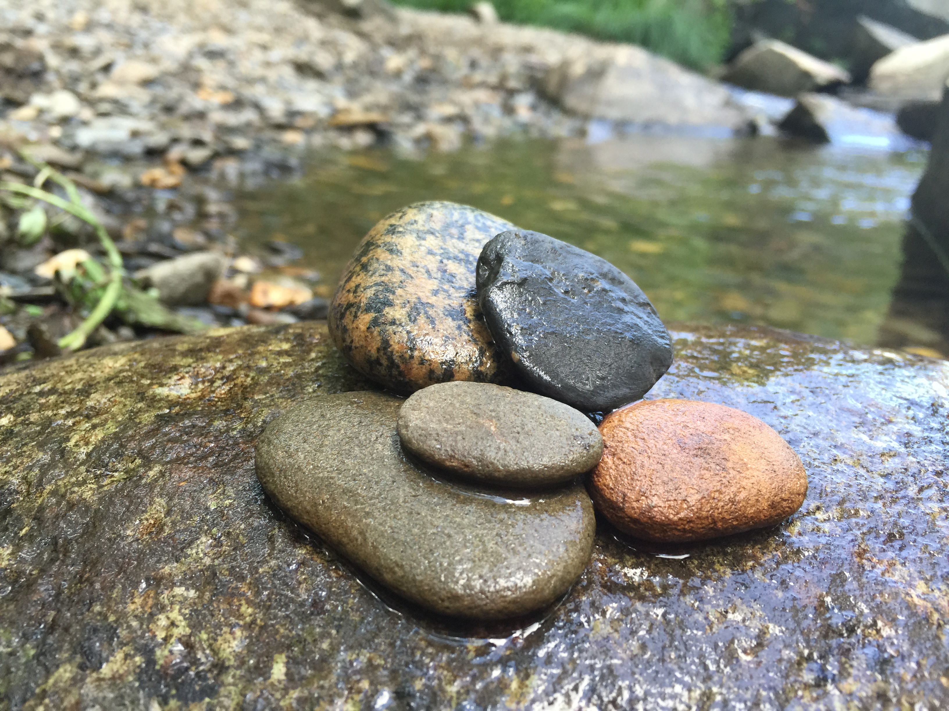 Five Smooth Stones | GRACE in TORAH