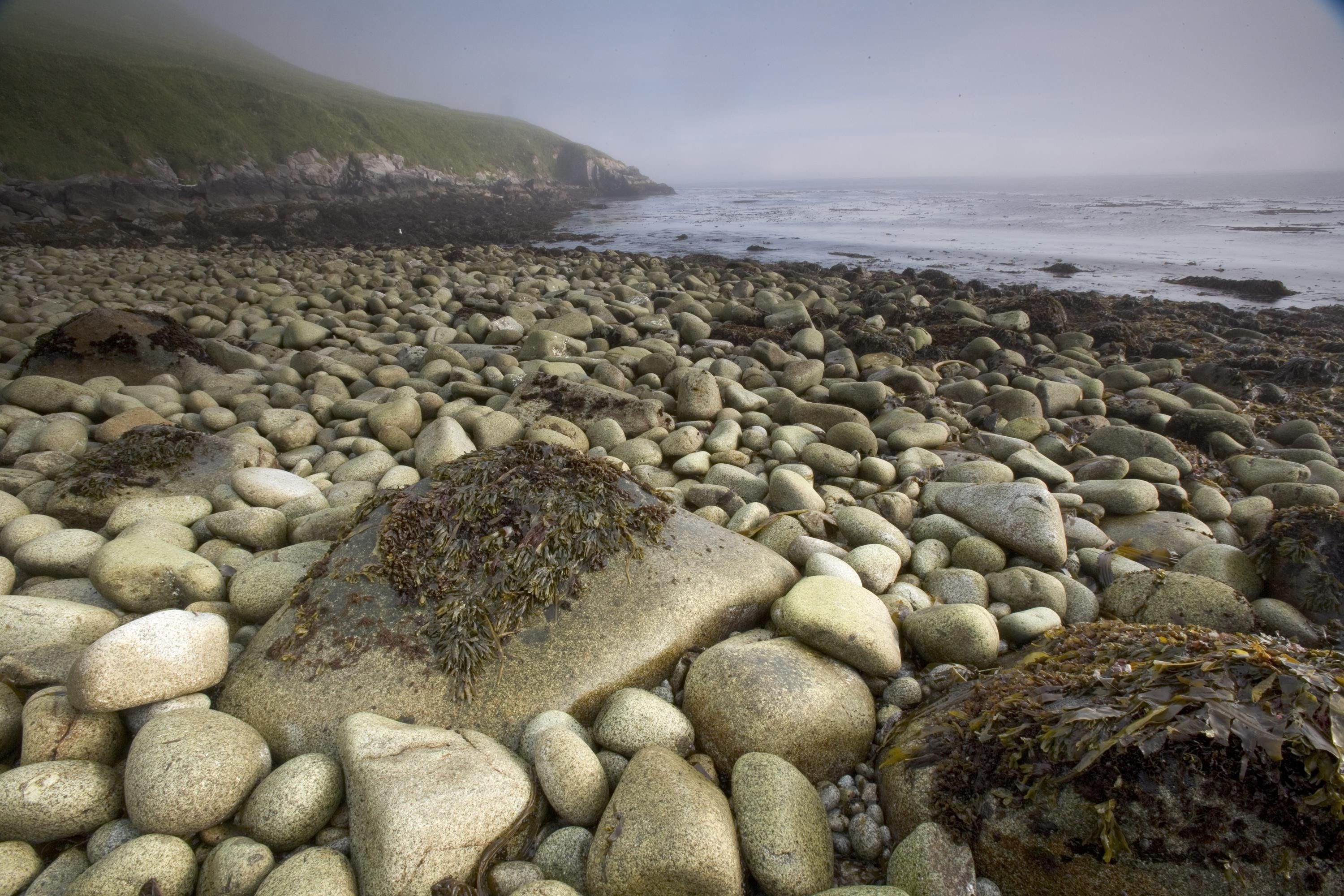 Stones on the Shore, Beach, Landscape, Nature, Ocean, HQ Photo