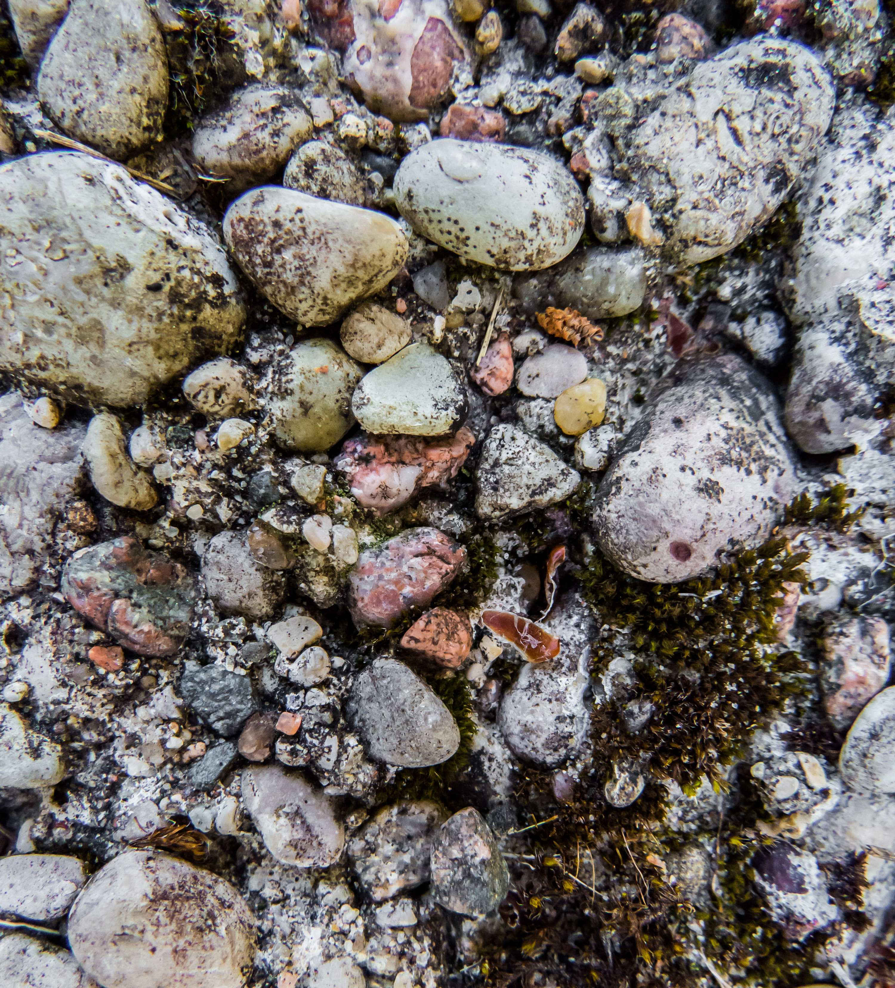 Stones texture, Closeup, Detail, Grey, Ground, HQ Photo