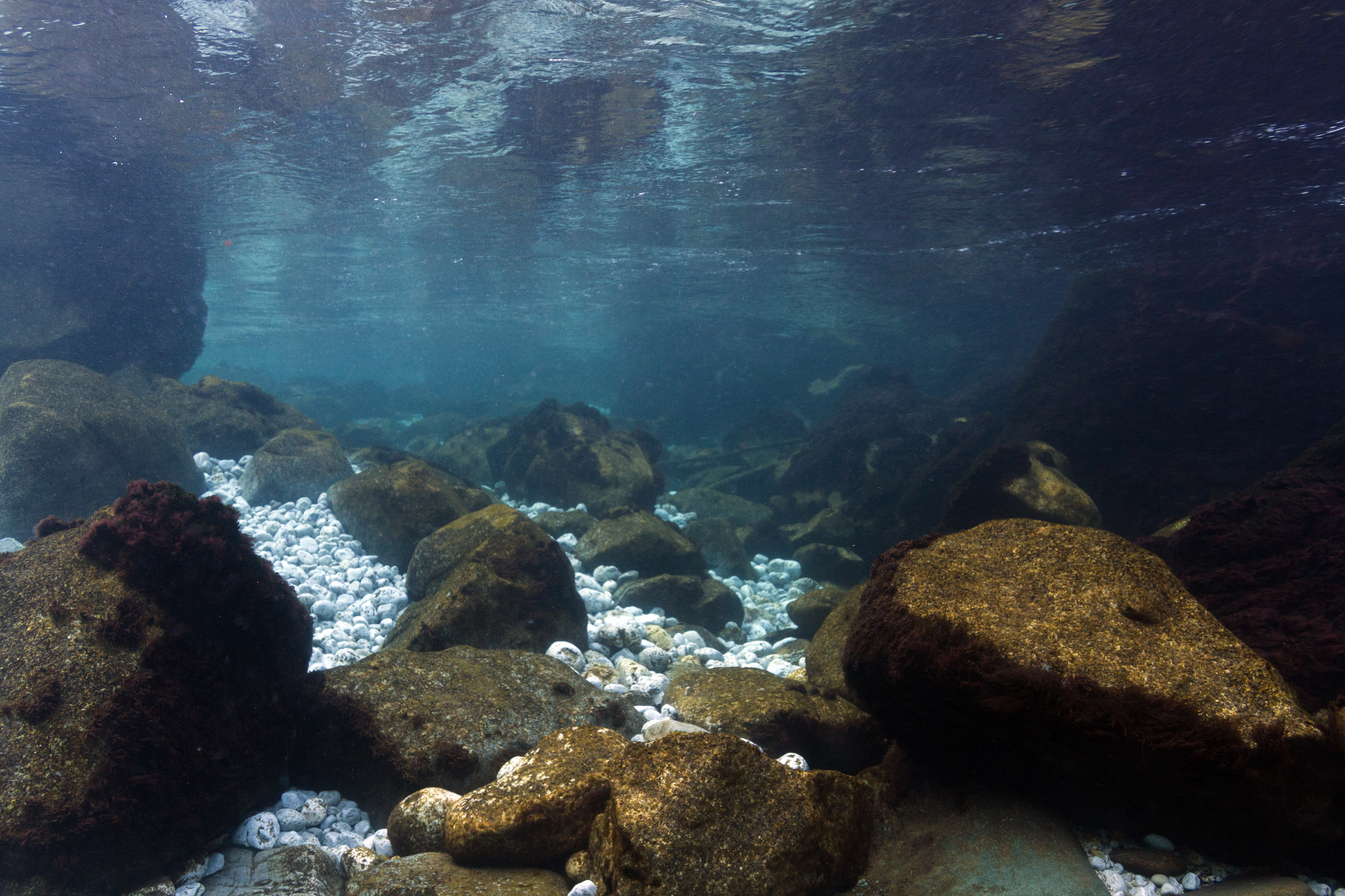 File:Piva River Underwater Landscape.jpg - Wikimedia Commons