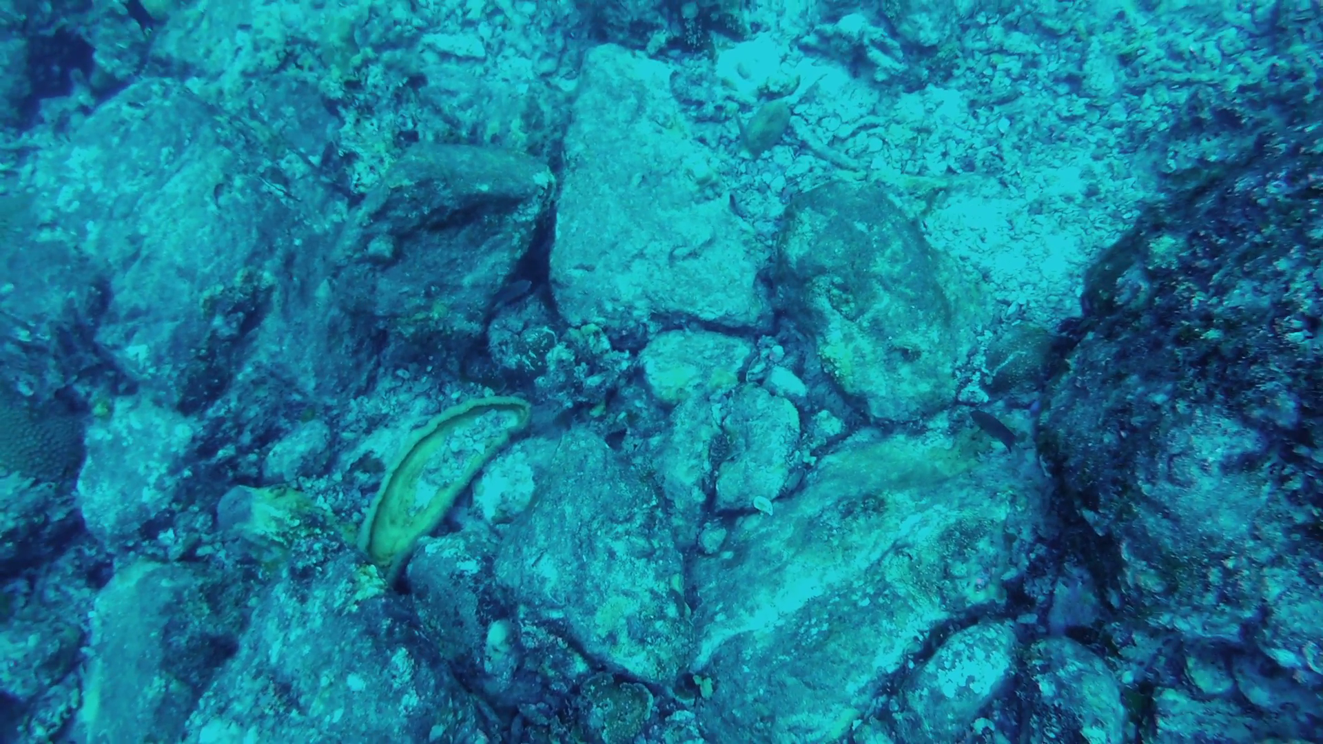 Underwater. View of stones on seabed, close-up Stock Video Footage ...
