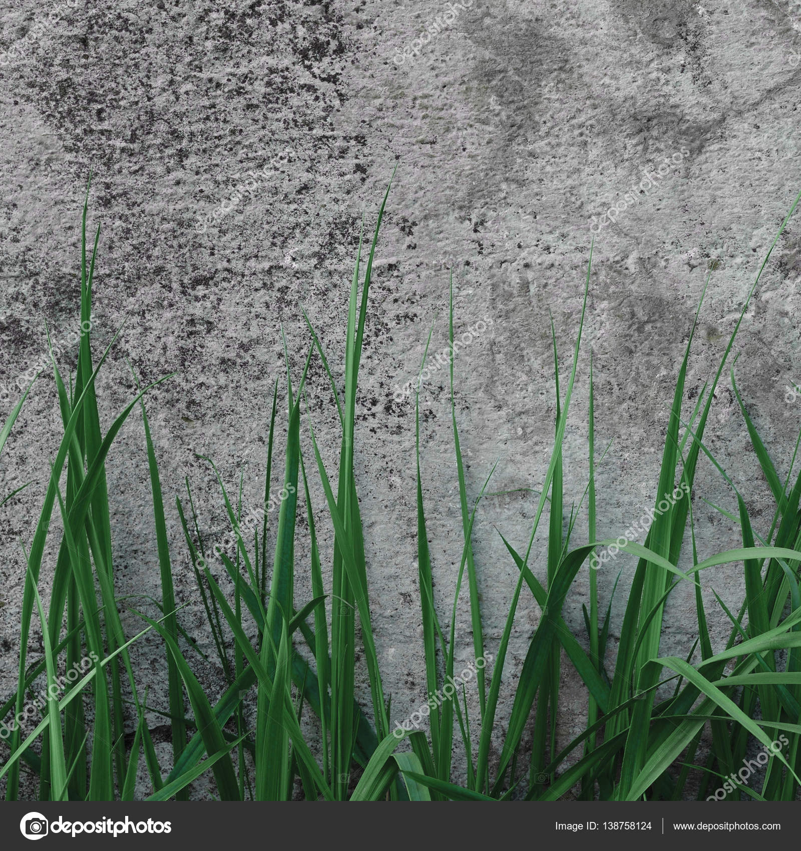 Dark Grey Coarse Concrete Stone Wall Texture, Green Grass ...