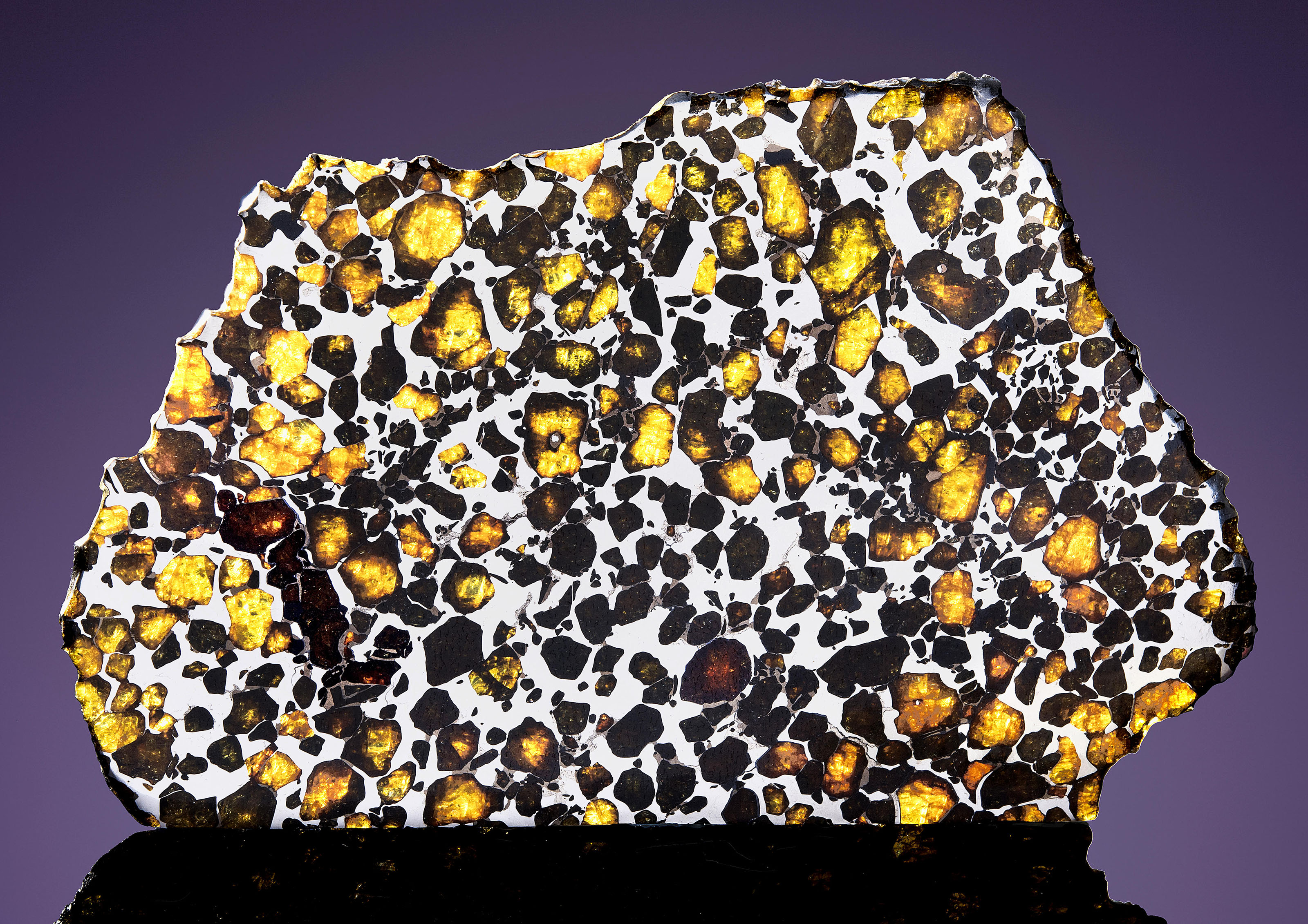 IMILAC PALLASITE PARTIAL SLICE — THE MOST BEAUTIFUL EXTRATERRESTRIAL ...