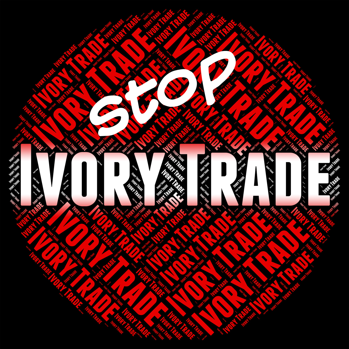 Stop ivory trade indicates elephant teeth and biz photo